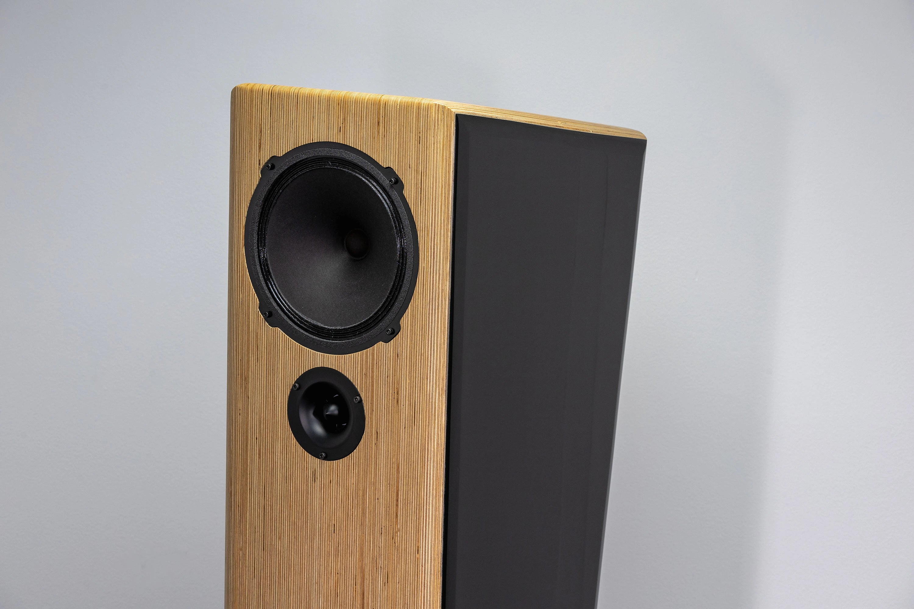 Closer Acoustics Adam loudspeaker close-up – focusing on the speaker driver and tweeter, showcasing the high-performance audio technology and precision components