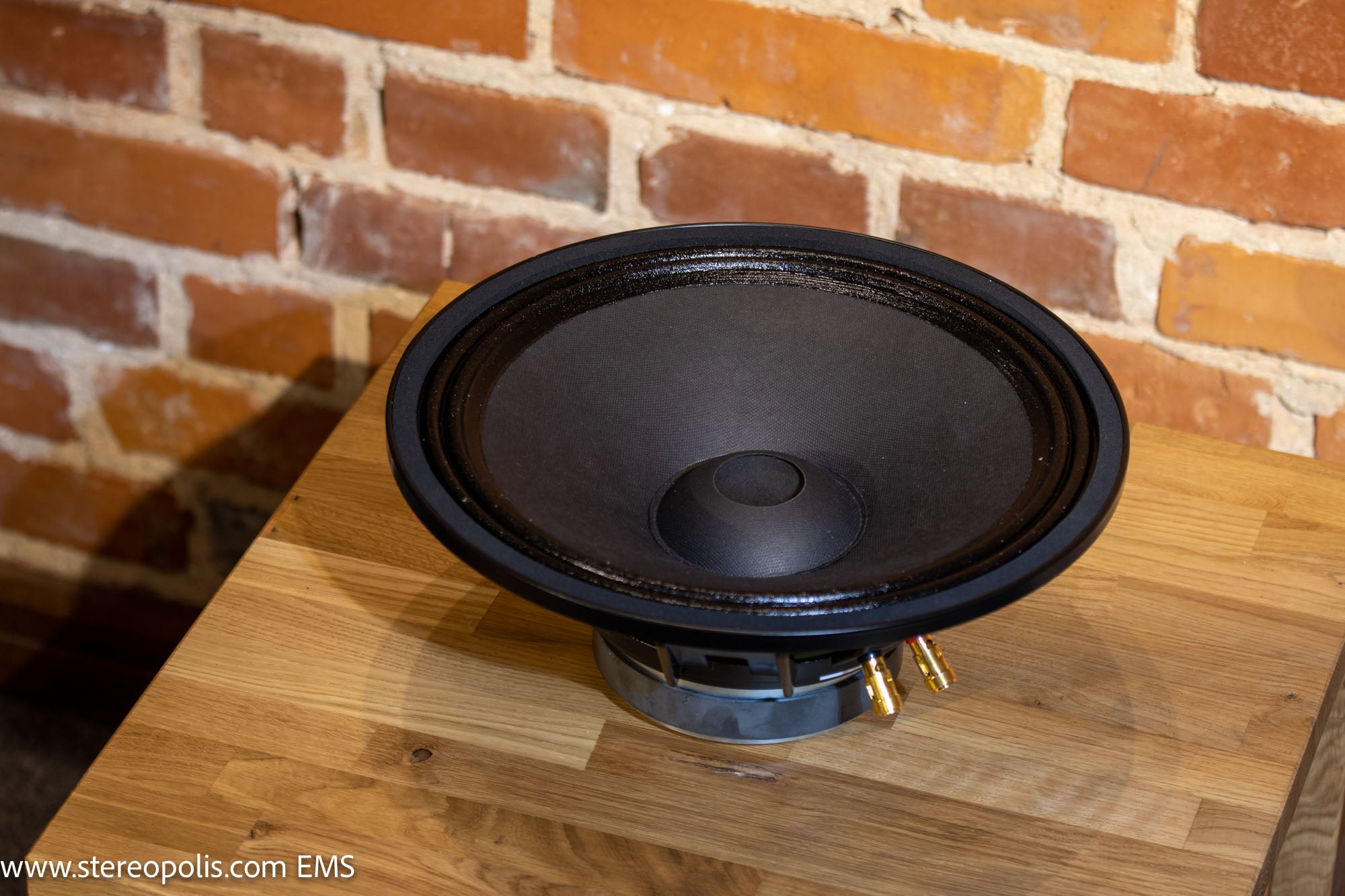 Top view of EMS B12 OB (No1214) bass driver 8 Ohm, highlighting the durable construction and advanced technology used for optimal sound reproduction