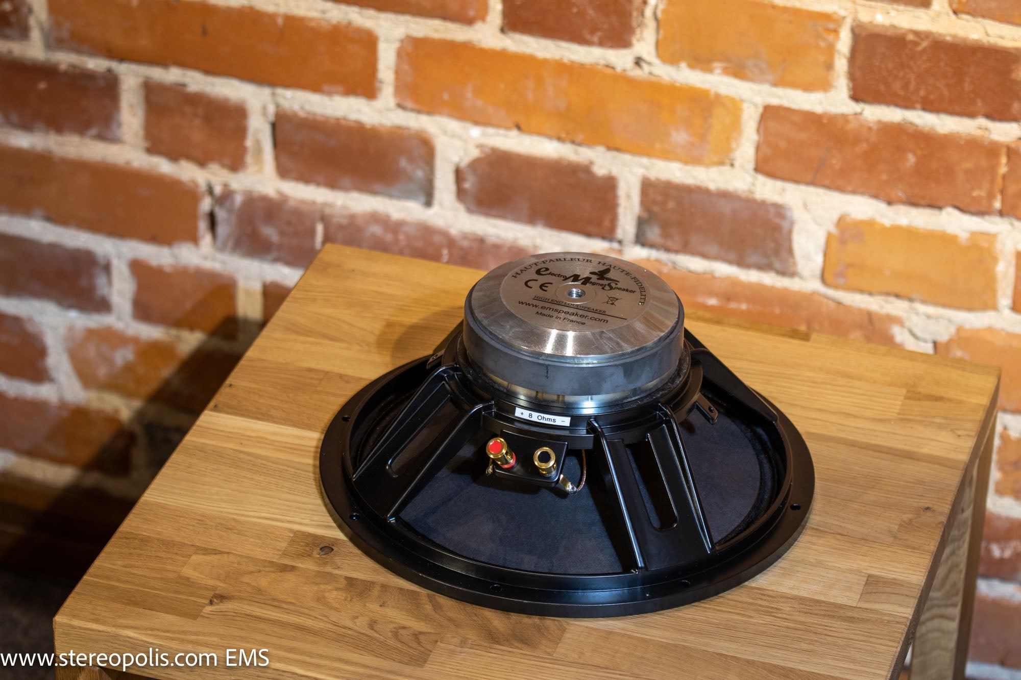 Rear view from above of EMS B12 OB (No1214) bass driver 8 Ohm, illustrating the technical details and rear panel connectors for seamless integration with audio systems