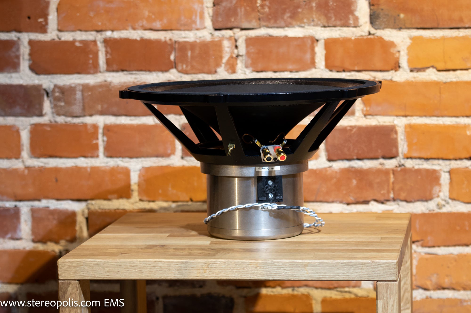 Profile view of the EMS B15 EX MKII bass driver, emphasizing its sleek design and advanced field coil construction for powerful, clear bass output