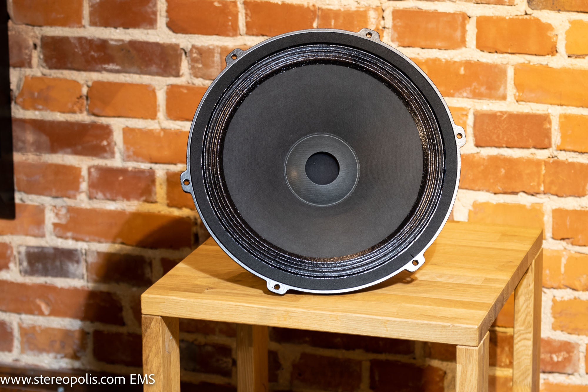 Front view of the EMS B15 EX MKII bass driver placed against a brick wall, emphasizing its elegant design and high-quality build for premium bass output