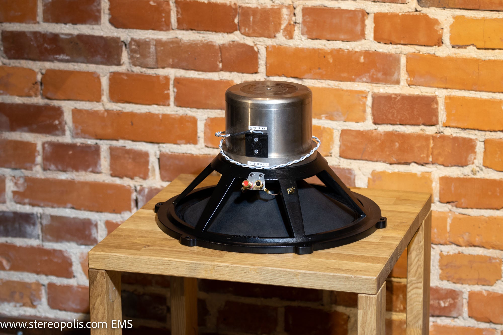 View of the inverted EMS B15 EX MKII bass driver, highlighting its reverse-mounted design and intricate details for enhanced bass performance