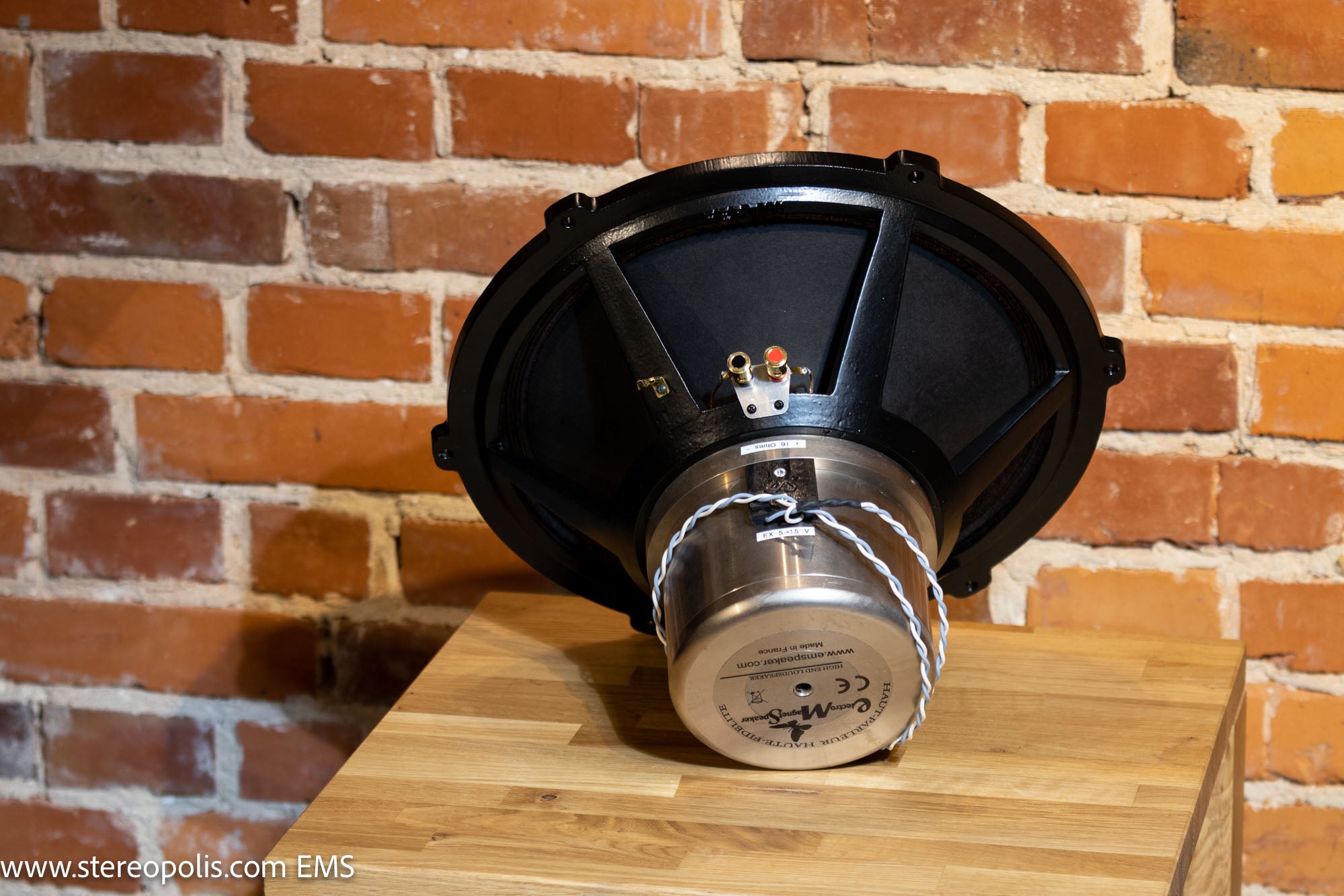 Full rear view of EMS B15 EX MKII bass driver, offering a complete look at the advanced features and robust construction for high-fidelity bass performance