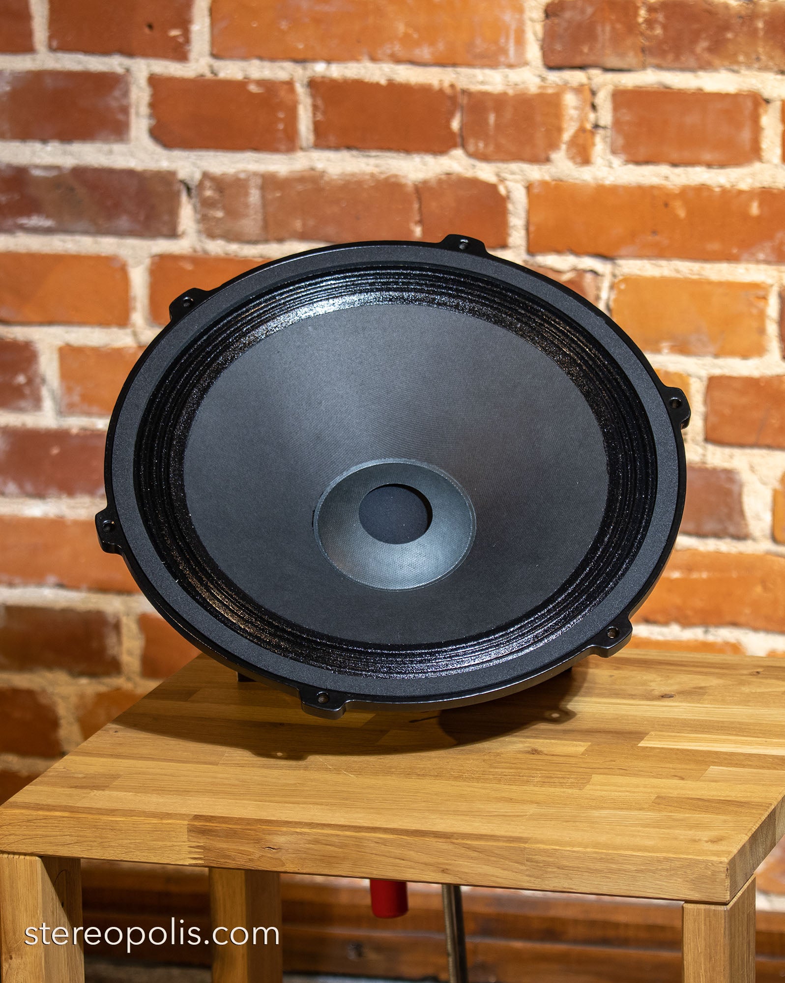 EMS B15 MK II bass drivers (8 Ohm) – pair of two units, showcasing their premium construction and design for high-quality bass reproduction in an audiophile setup