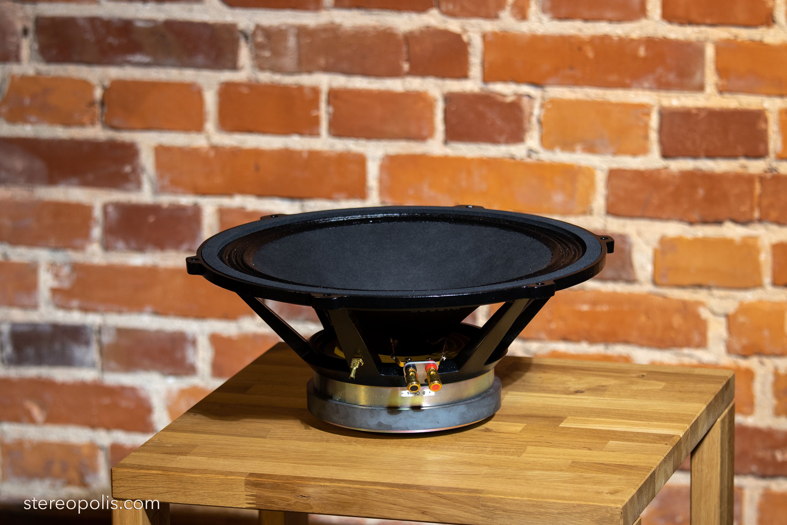 Profile view of EMS B15 MK II bass driver, showcasing its sleek design and durable construction for delivering rich, deep bass frequencies