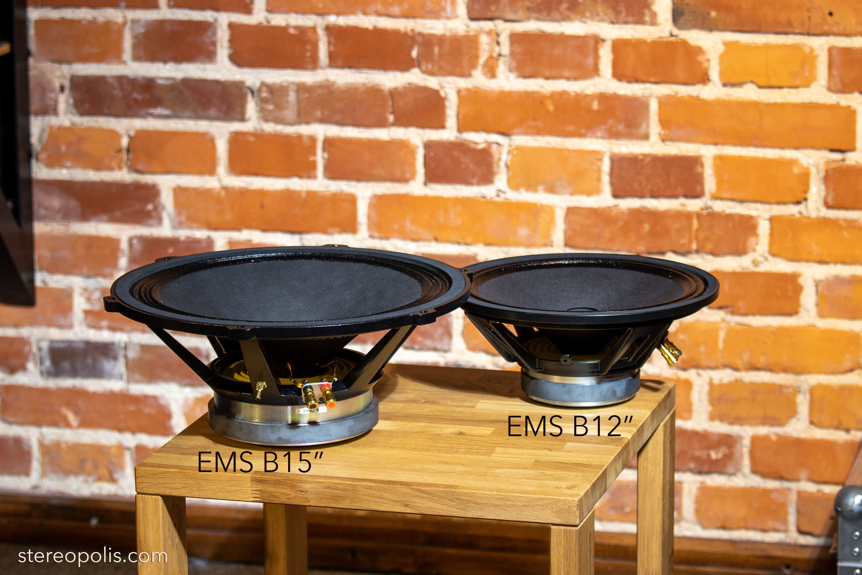 Side view of the EMS B15 MK II bass drivers – pair of two units, illustrating their complementary design and balanced construction for optimal bass output