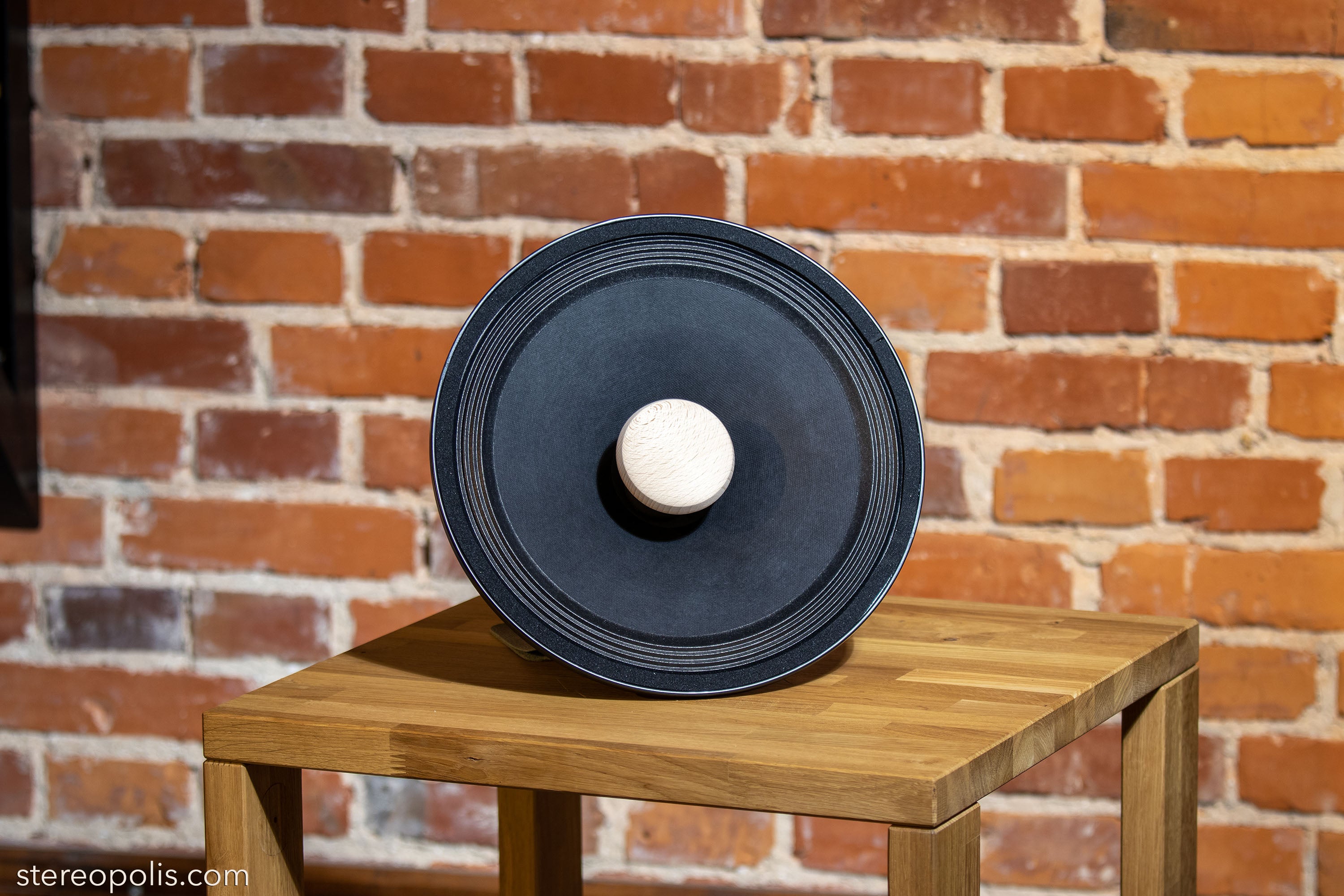 Profile view of the EMS LB 12 EX Field Coil loudspeaker set against a brick wall, showcasing its robust build and elegant design for optimal sound quality
