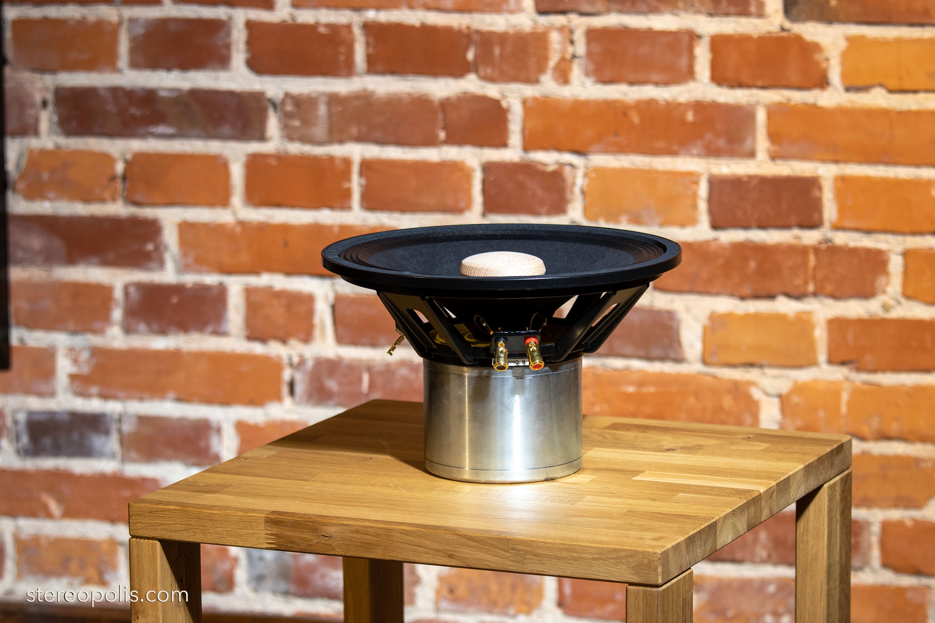 Front view of the EMS LB 12 EX Field Coil loudspeaker placed against a bric wall, illustrating its sleek design and high-performance capabilities