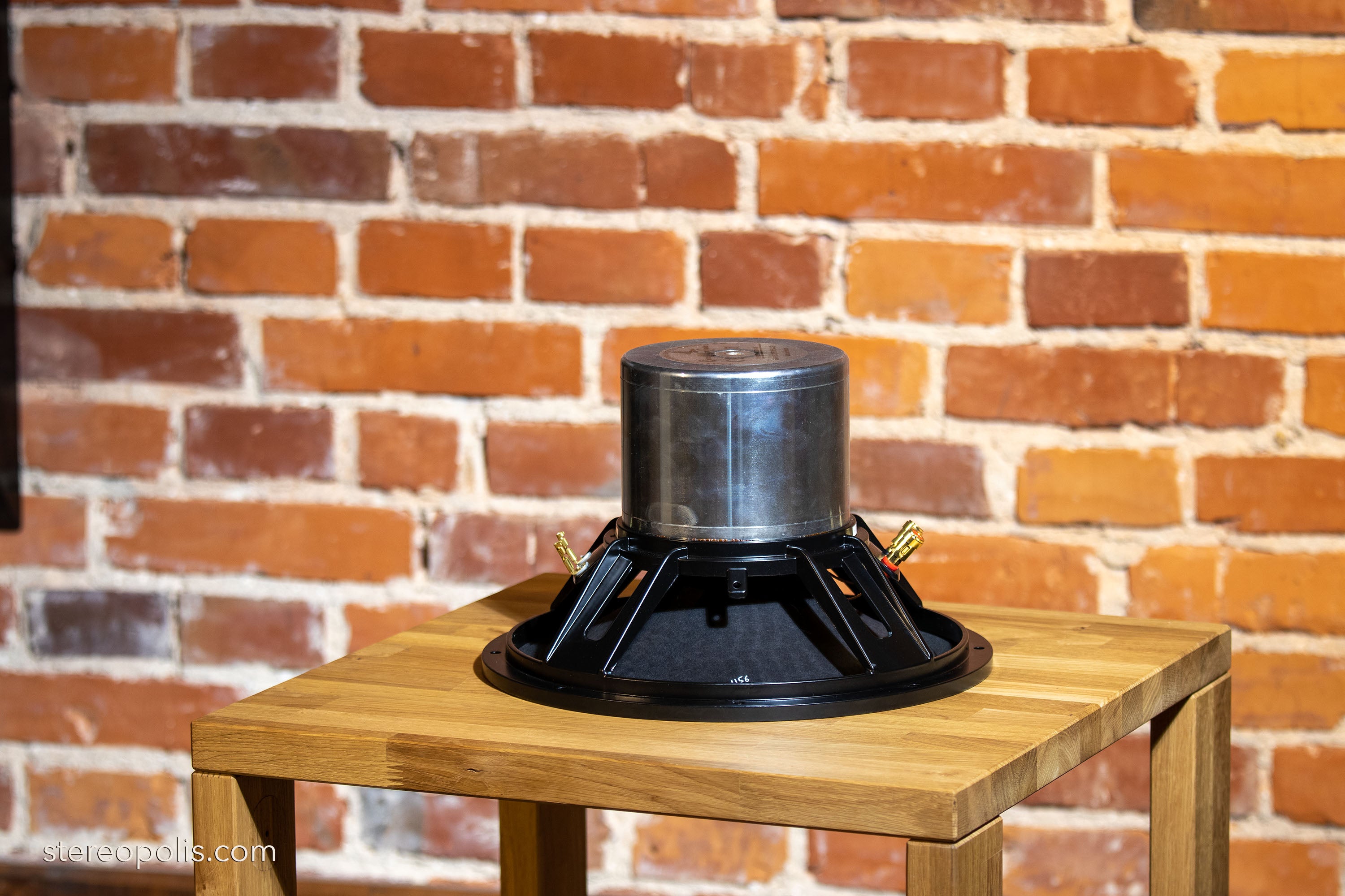 Inverted profile view of the EMS LB 12 EX Field Coil loudspeaker, emphasizing its unique design and field coil technology for exceptional sound reproduction