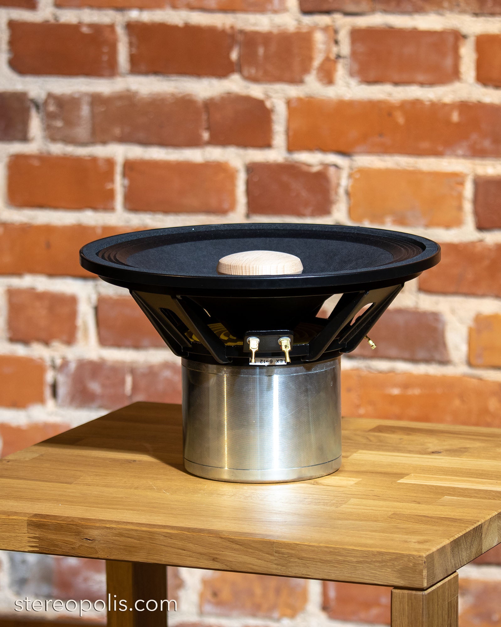 Profile view of the EMS LB 12 EX Field Coil loudspeaker, showcasing its premium construction and advanced field coil technology for audiophile-level sound performance