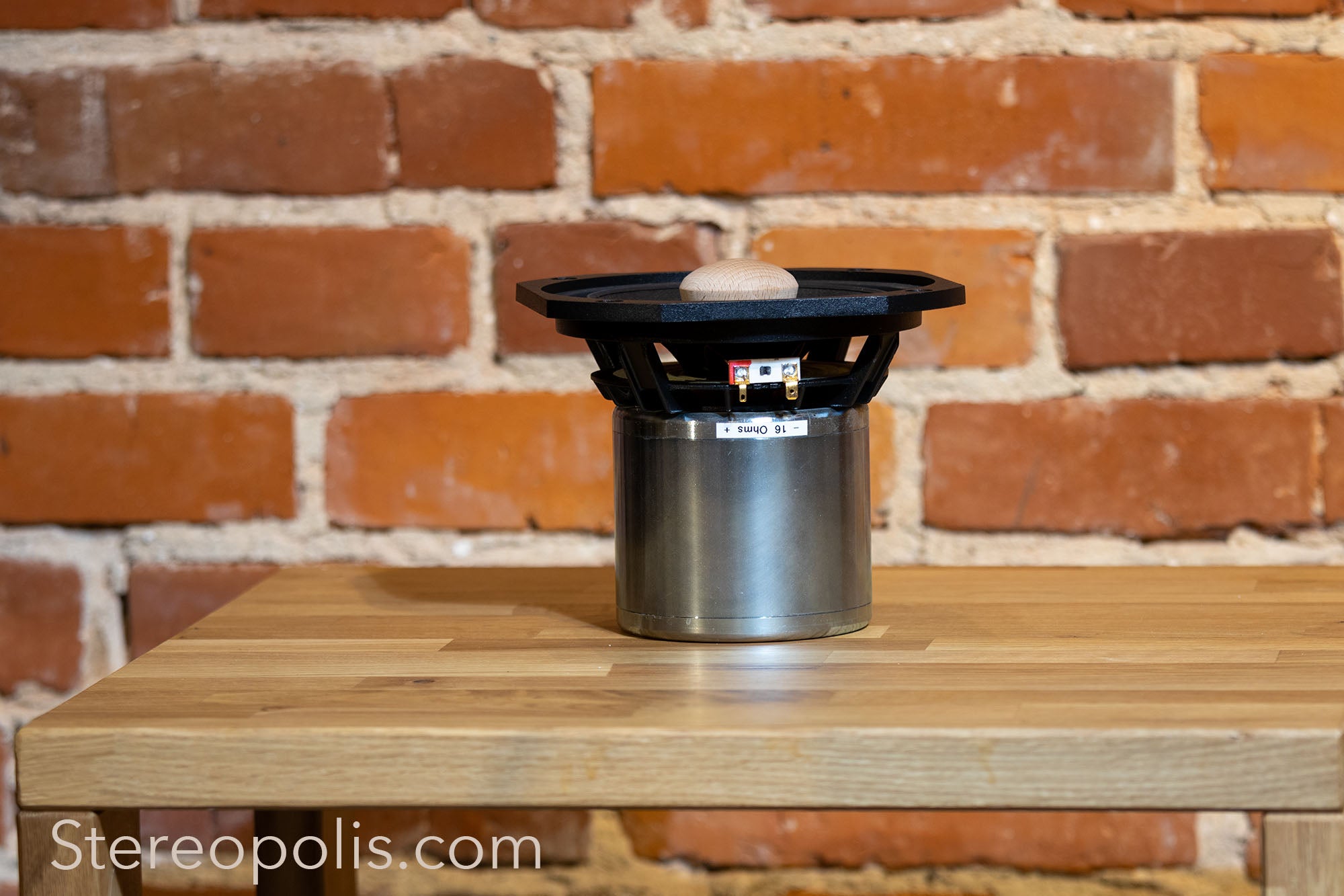 Profile view of the EMS LB7 EX (Field Coil) bass drivers – pair, demonstrating their sleek design and advanced construction for audiophile-quality bass