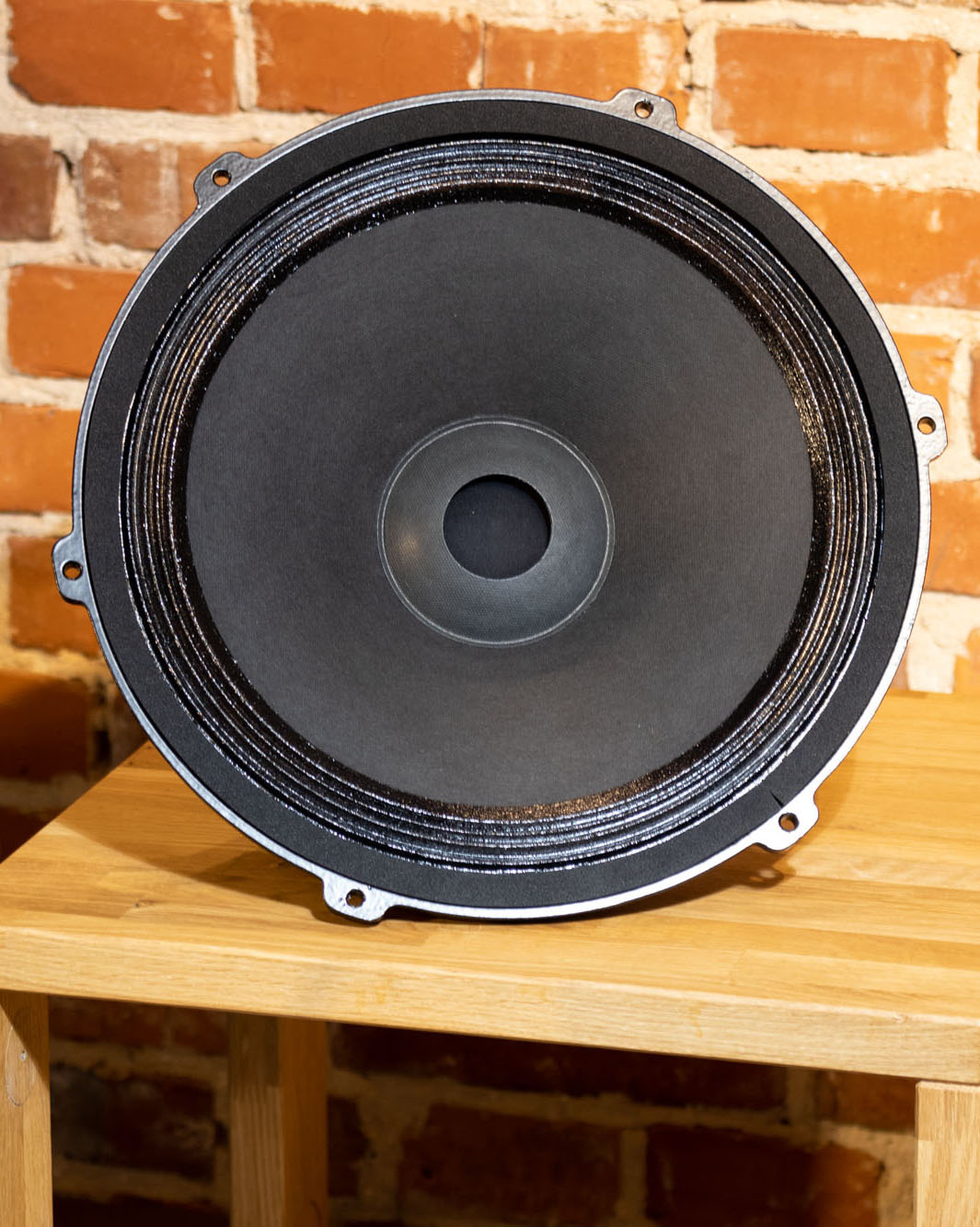 Front view of the EMS B15 EX MKII bass driver (field coil), showcasing its precision engineering and field coil technology for exceptional bass performance