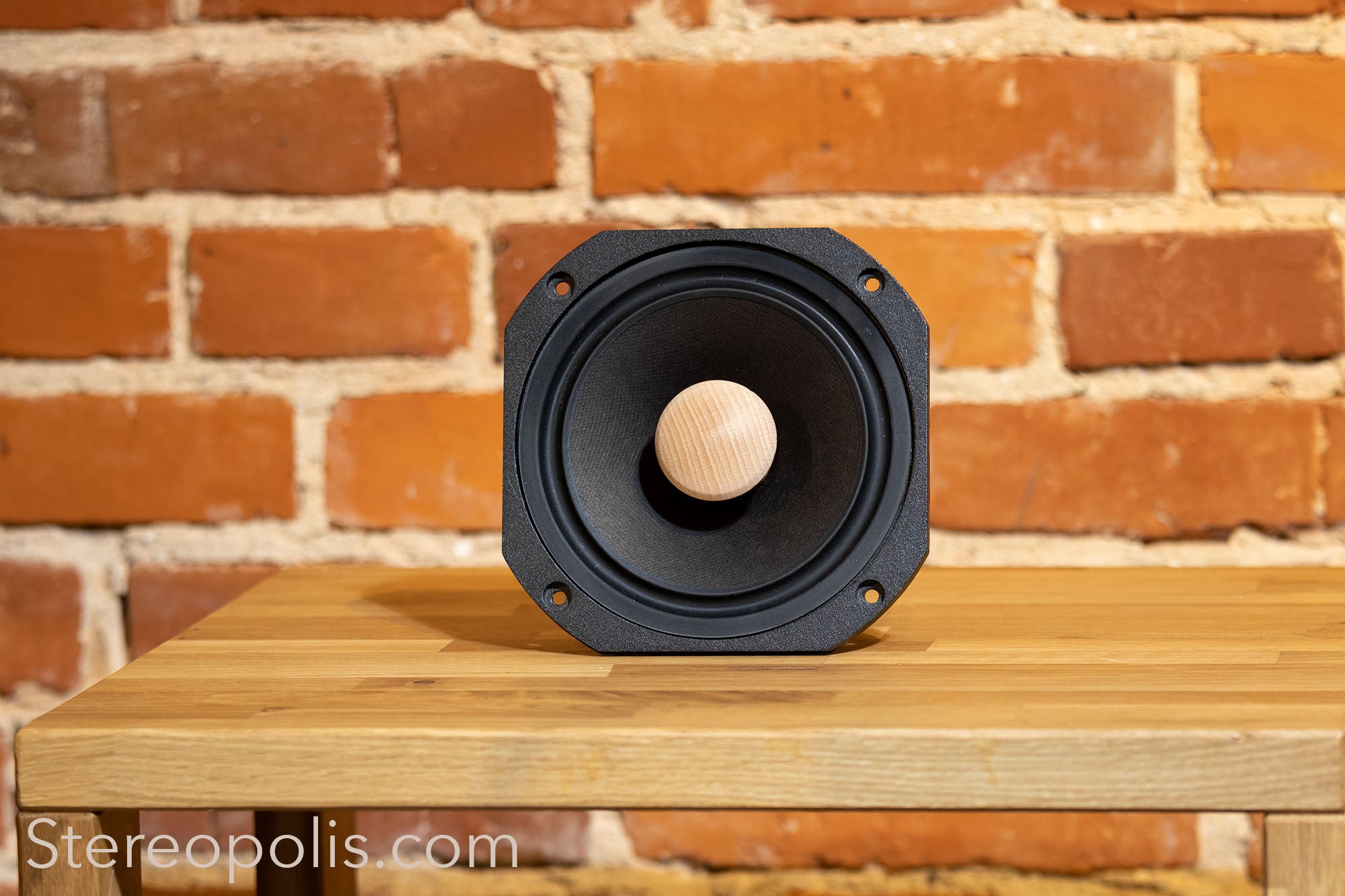 Front view of the EMS LB7 EX (Field Coil) bass drivers – pair, emphasizing their precision engineering and high-quality components for premium sound