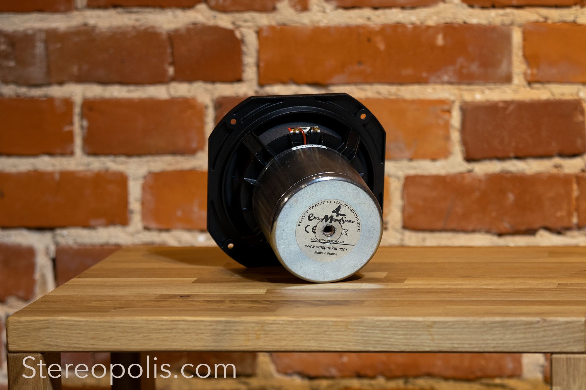 Rear view of the EMS LB7 EX (Field Coil) bass drivers – pair, highlighting the technical features and rear panel connectors for seamless integration into high-end audio systems