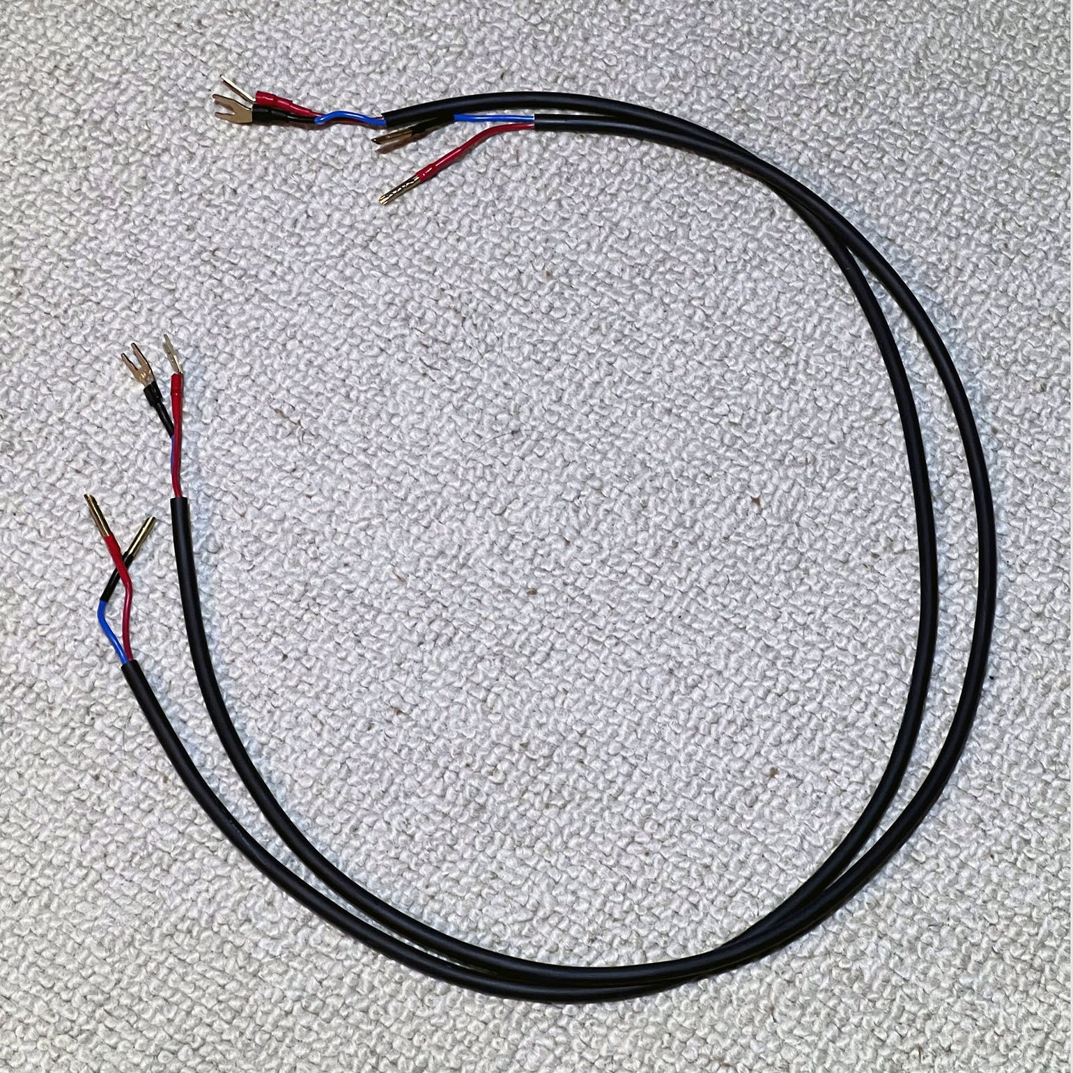 Close-up view of the Closer Acoustics BOB terminals cables, emphasizing the durable, flexible cables and robust connectors for efficient sound transmission
