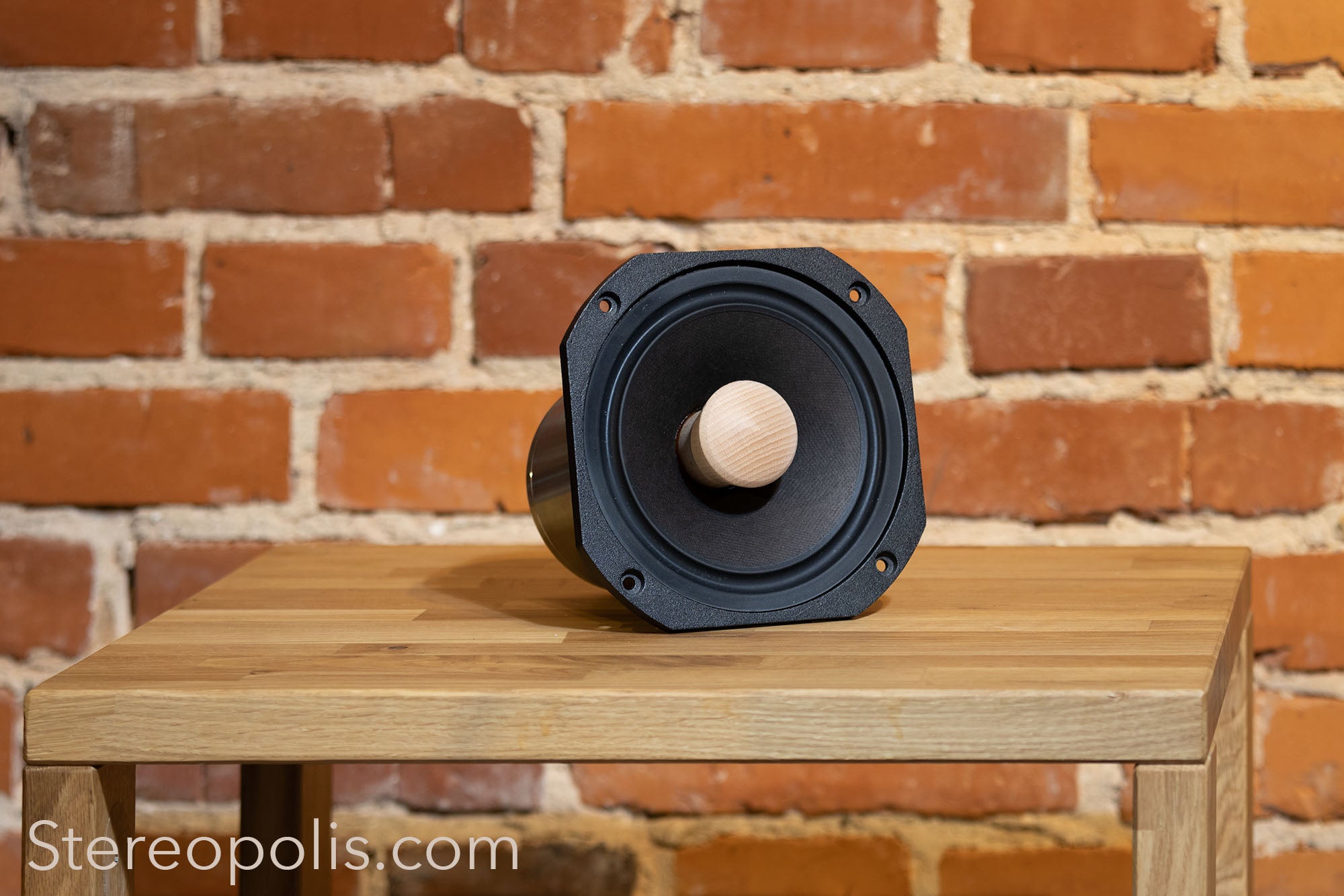 Front view of the EMS LB7 EX (Field Coil) bass drivers – pair placed against a brick wall, showcasing their elegant design and robust build for high-fidelity performance