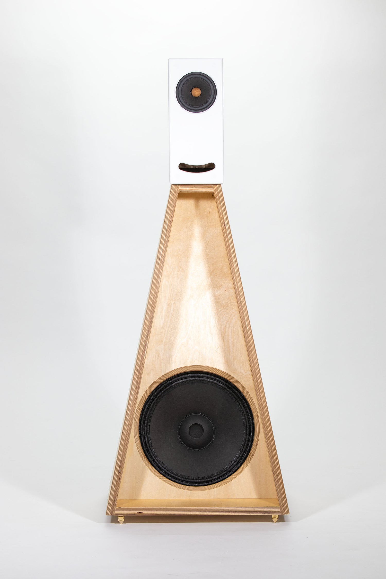 Closer Acoustics OGYs Bass module with birch plywood finish and dual speaker design