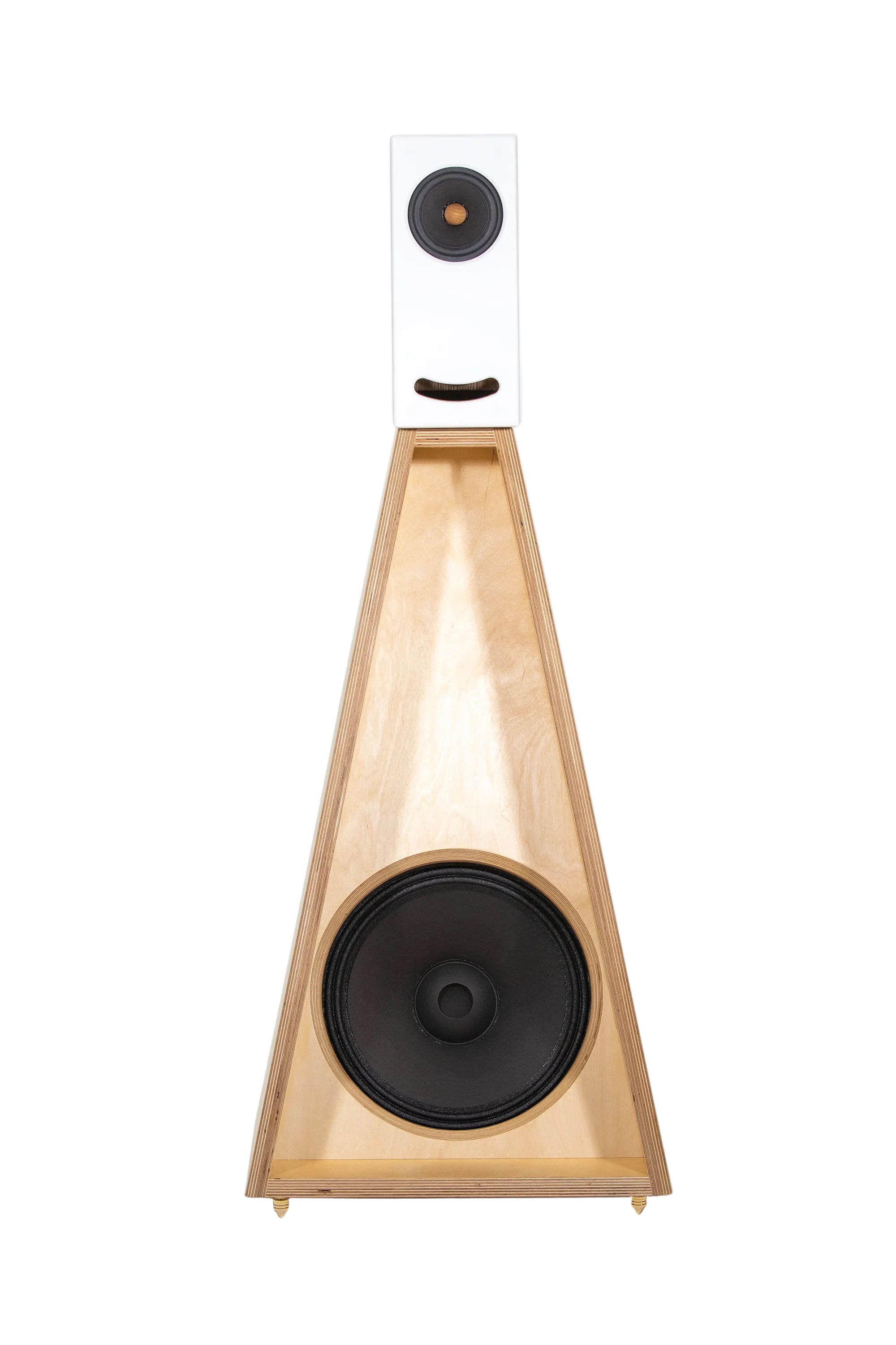 Closer Acoustics OGYs Bass module with birch plywood finish and dual speaker design