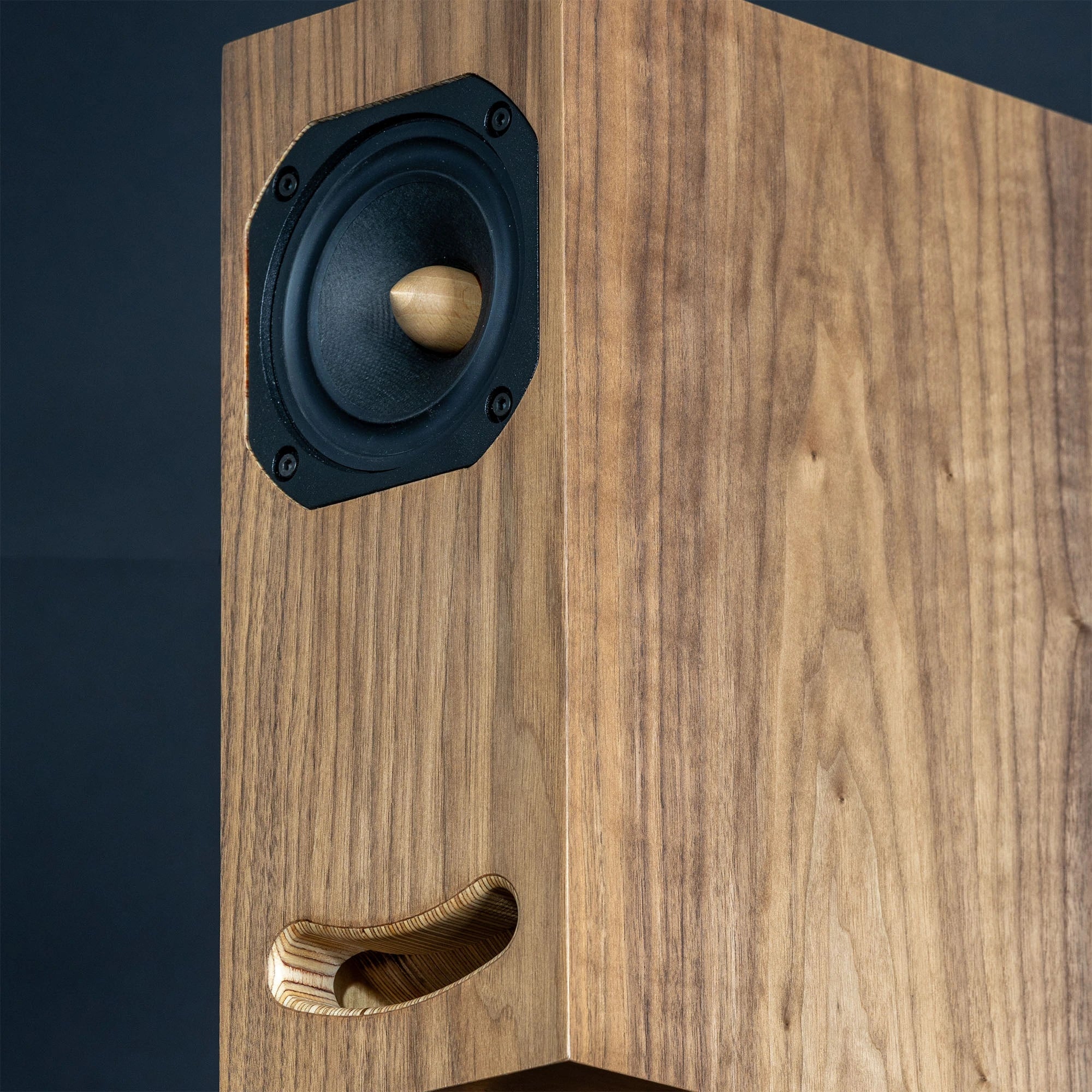 Enceintes bibliothèque Closer Acoustics OGY -paire- finition contreplaqué bouleau