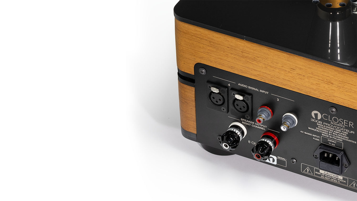 Close-up view of the rear panel of the Closer Acoustics 300B Provocateur Signature amplifier in Iroko finish, showcasing the connectivity and technical features.