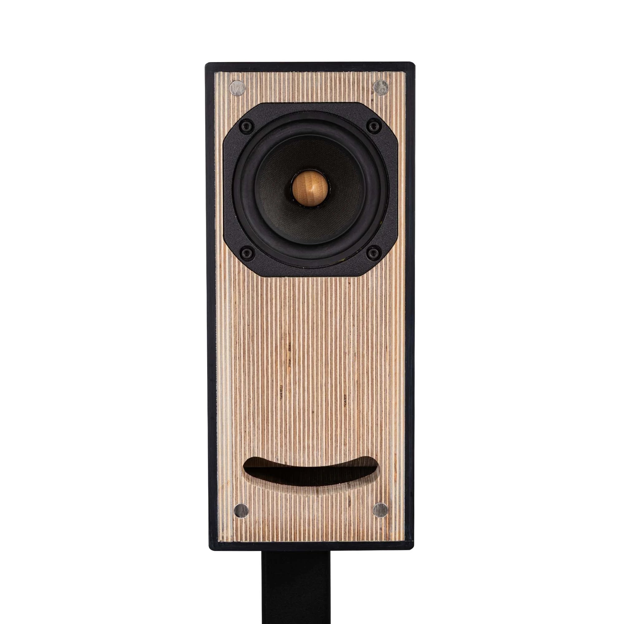 OGY Bass speaker front view without front panel