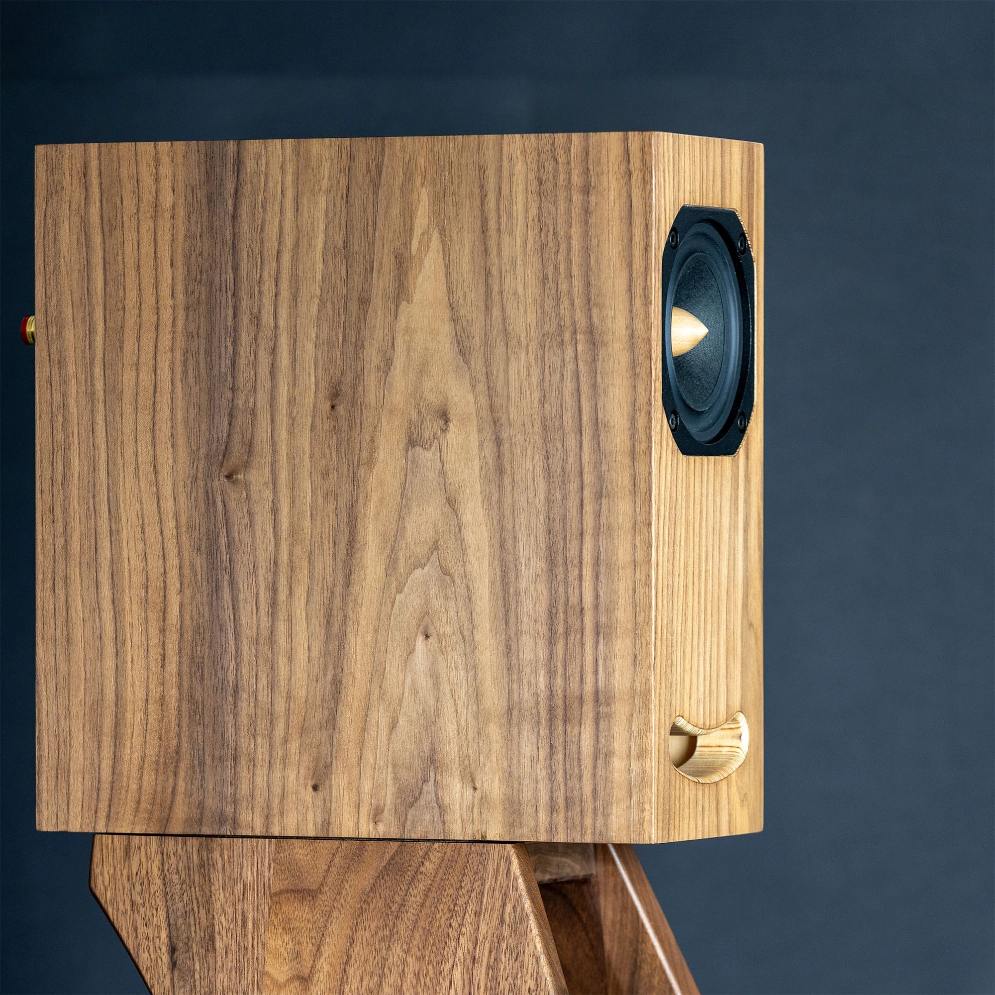 Enceintes bibliothèque Closer Acoustics OGY -paire- finition contreplaqué bouleau