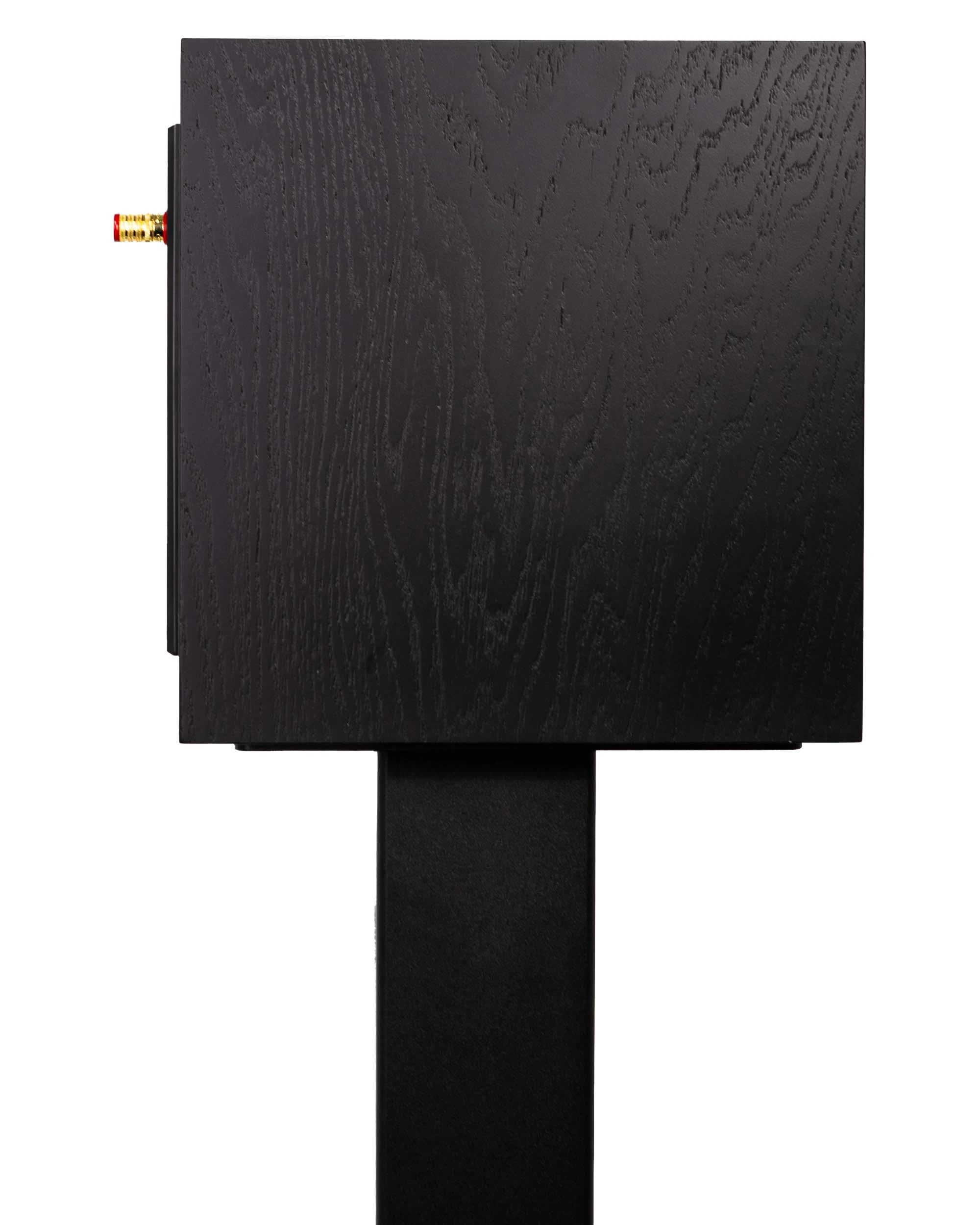 Audio Set Speakers Closer Acoustics OGY Oak Black + Tube Amplifier Fezz Luna Mini