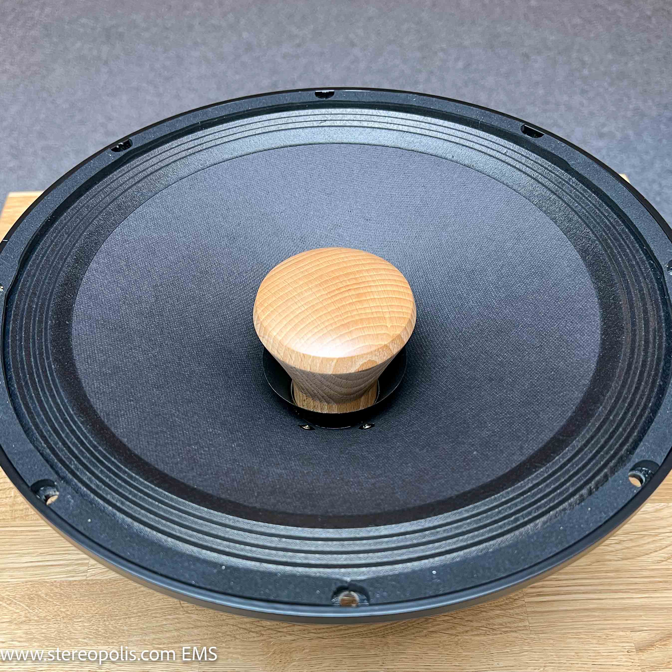 Close-up of EMS LB 12 MKII speaker cone and surround