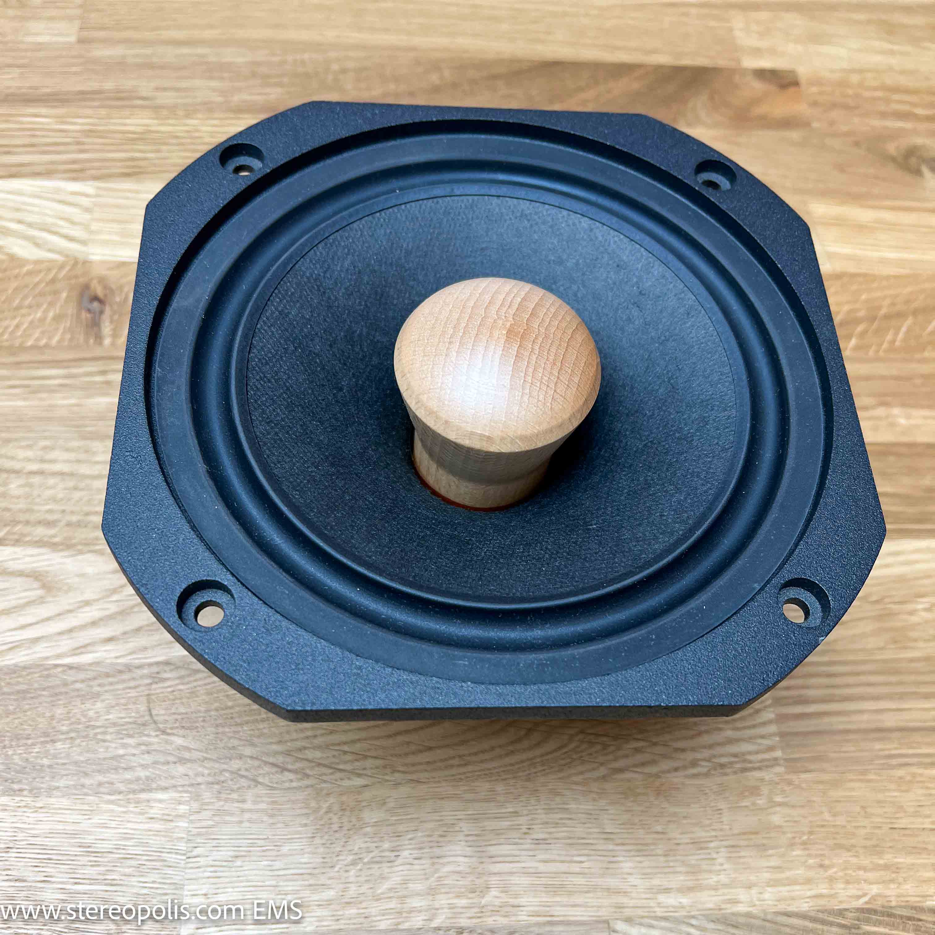 Top view of EMS LB7 full-range speaker pair with visible cone structure