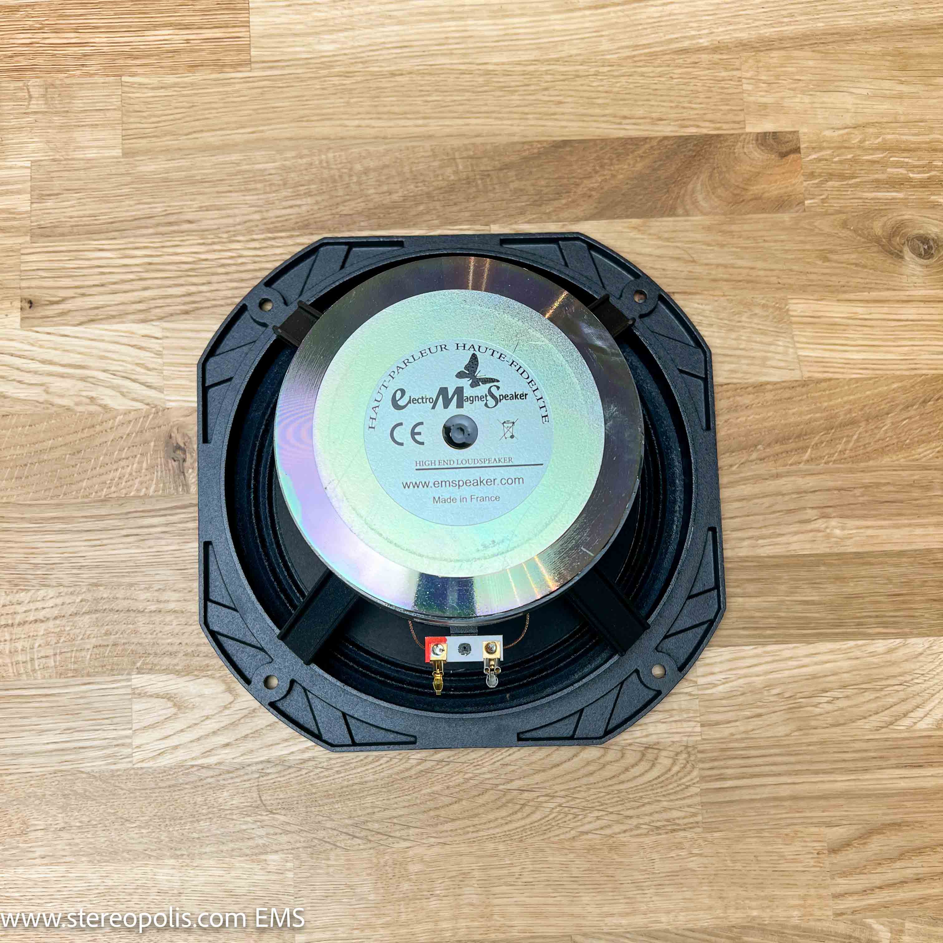 EMS LB8 loudspeakers – rear and side detail