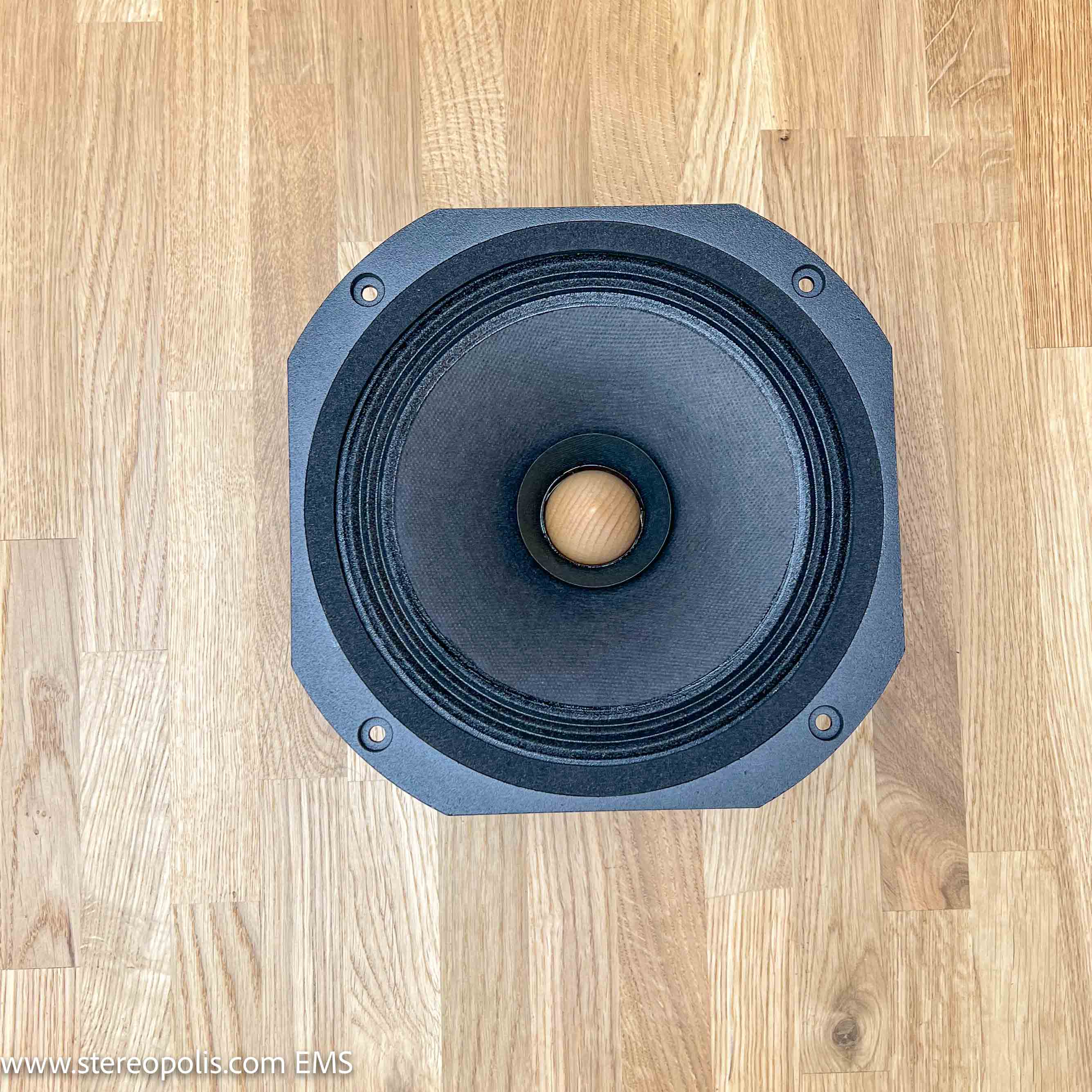 EMS LB8 8 Ohm full-range speakers – front view