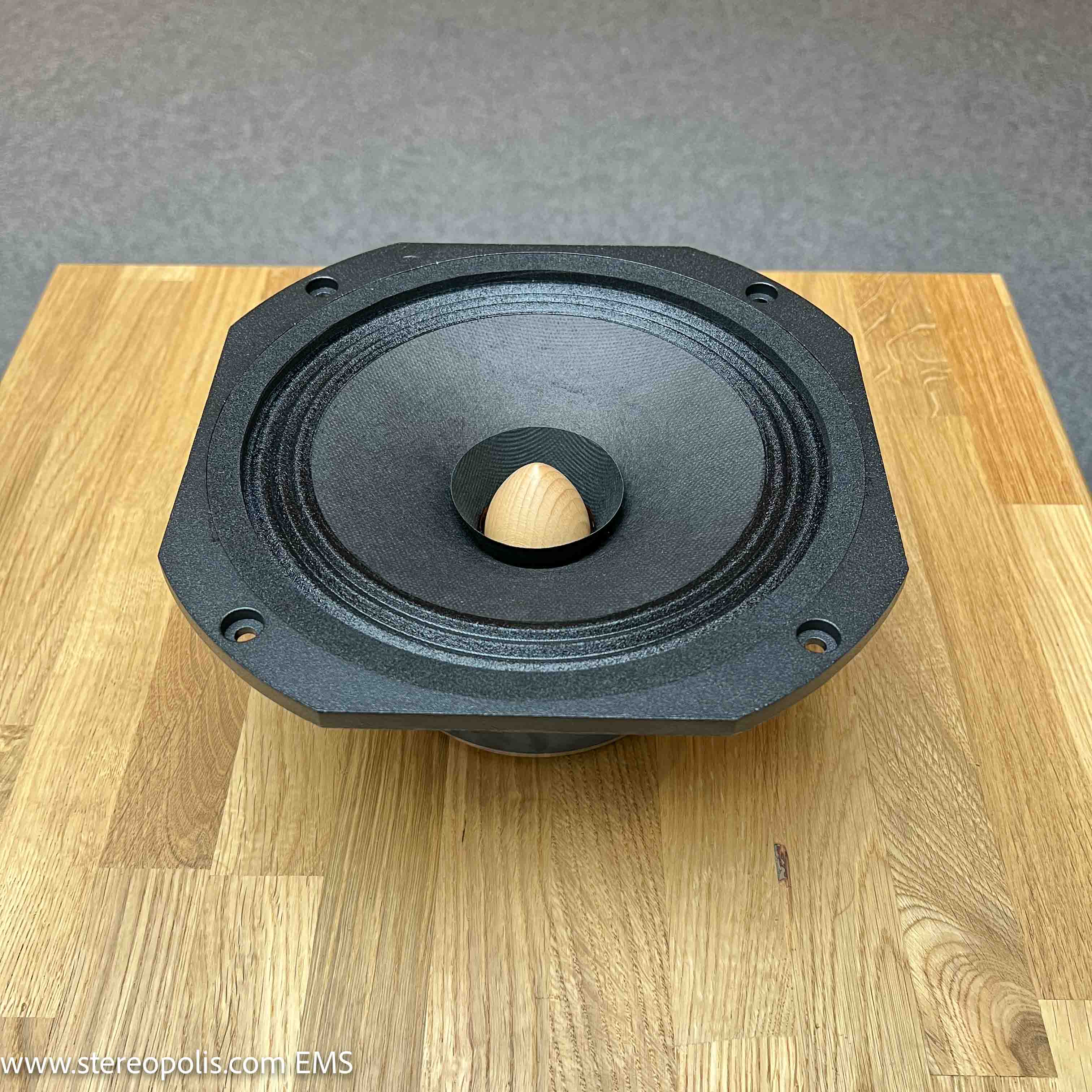 Pair of EMS LB8 8 Ohm drivers – angled view