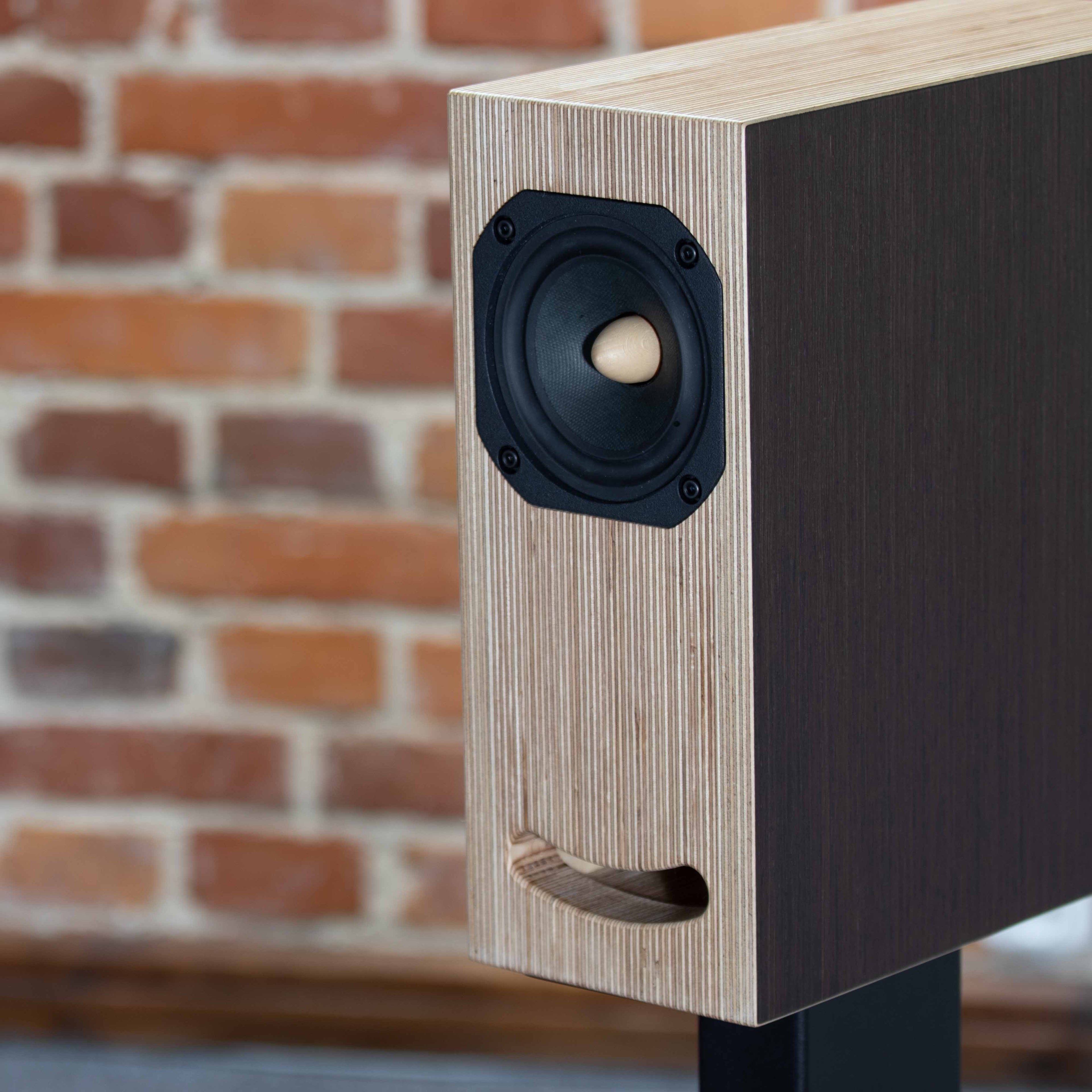 Close-up of Closer Acoustics OGY speaker driver in Wenge finish