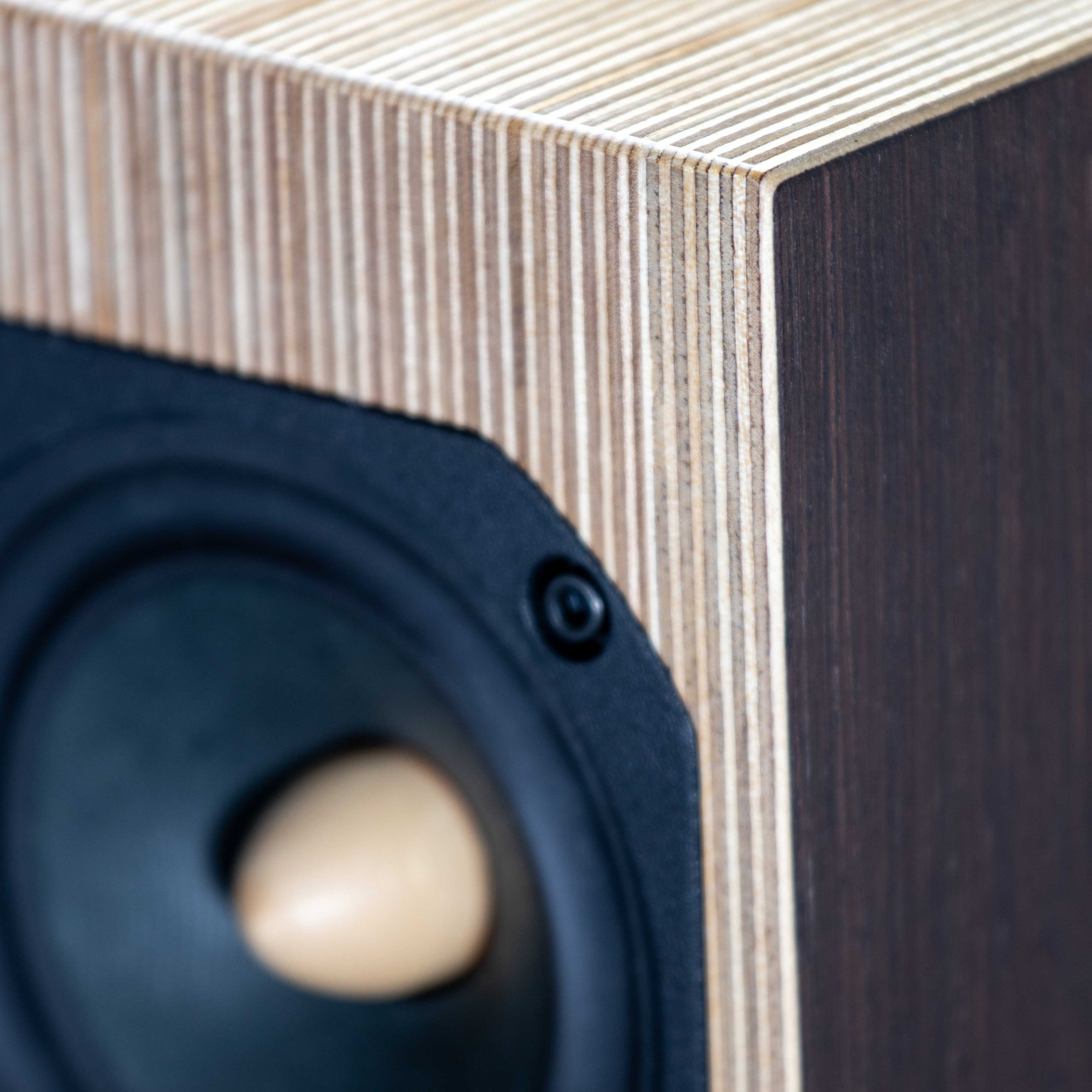 Detailed view of OGY loudspeaker cone and front baffle – Wenge veneer