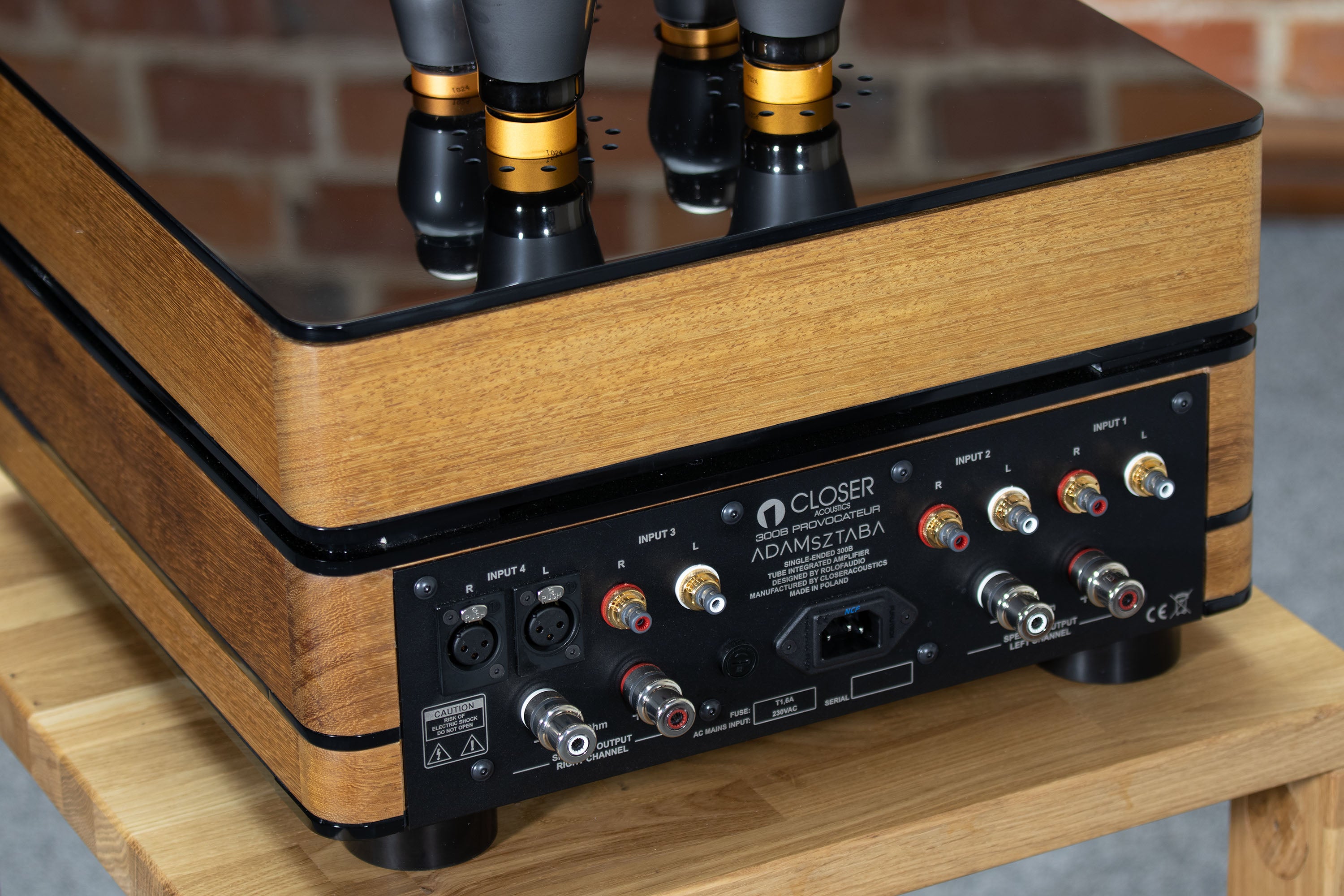 Close-up of rear panel – RCA and speaker terminals