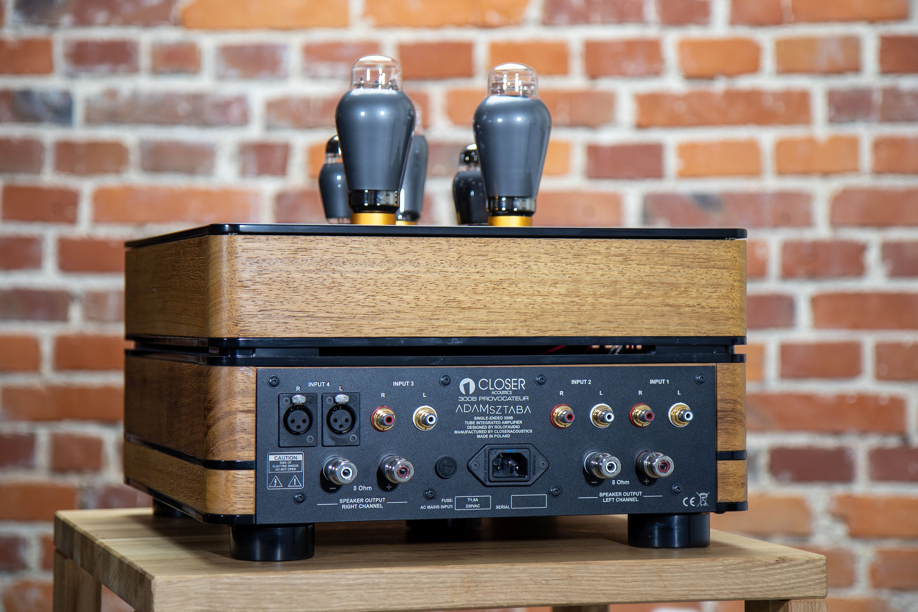 Back panel of tube amplifier with input and output connectors