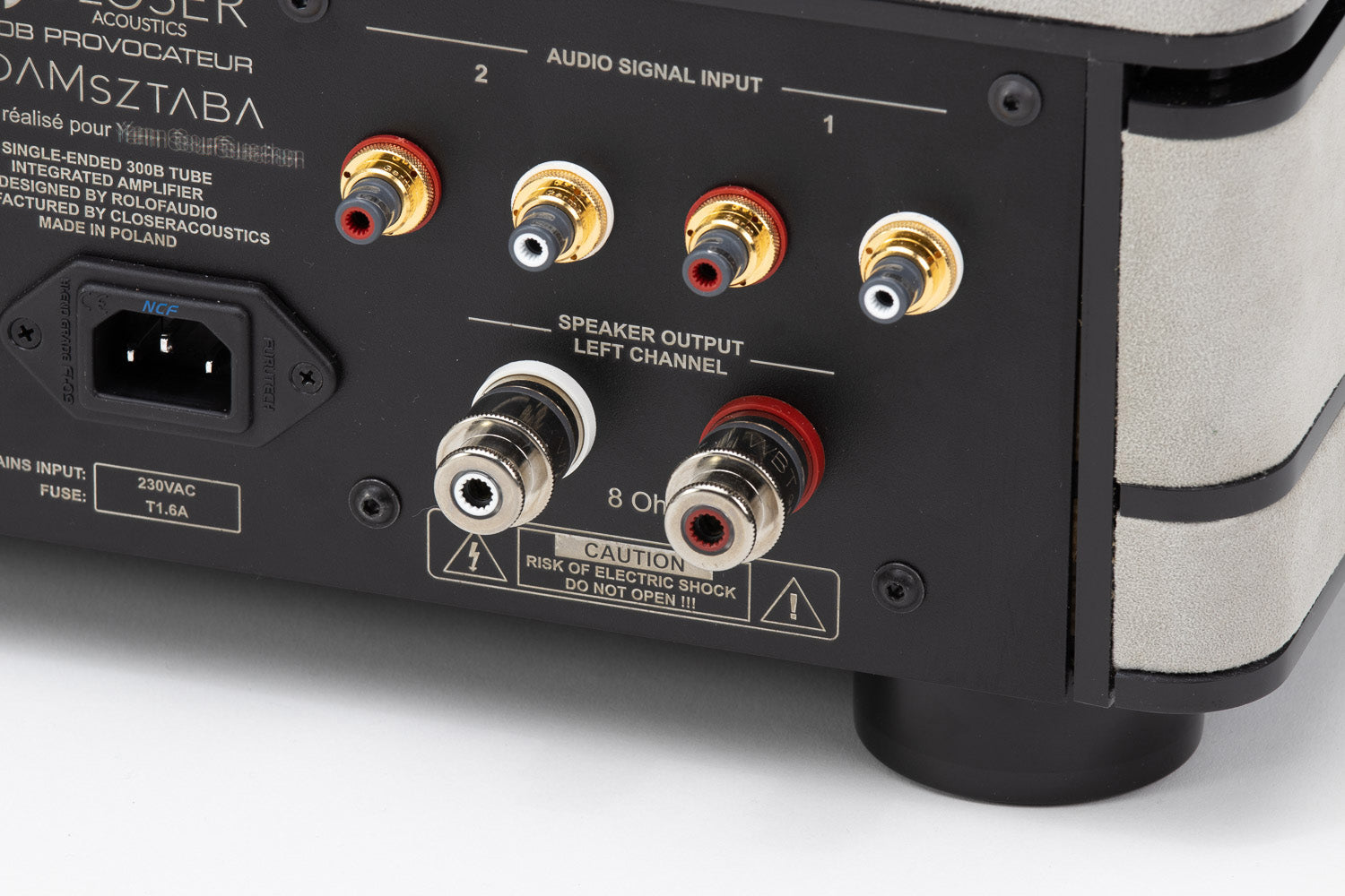 Closer Acoustics 300B Provocateur Signature amplifier – detailed view of the finish and rear connection ports