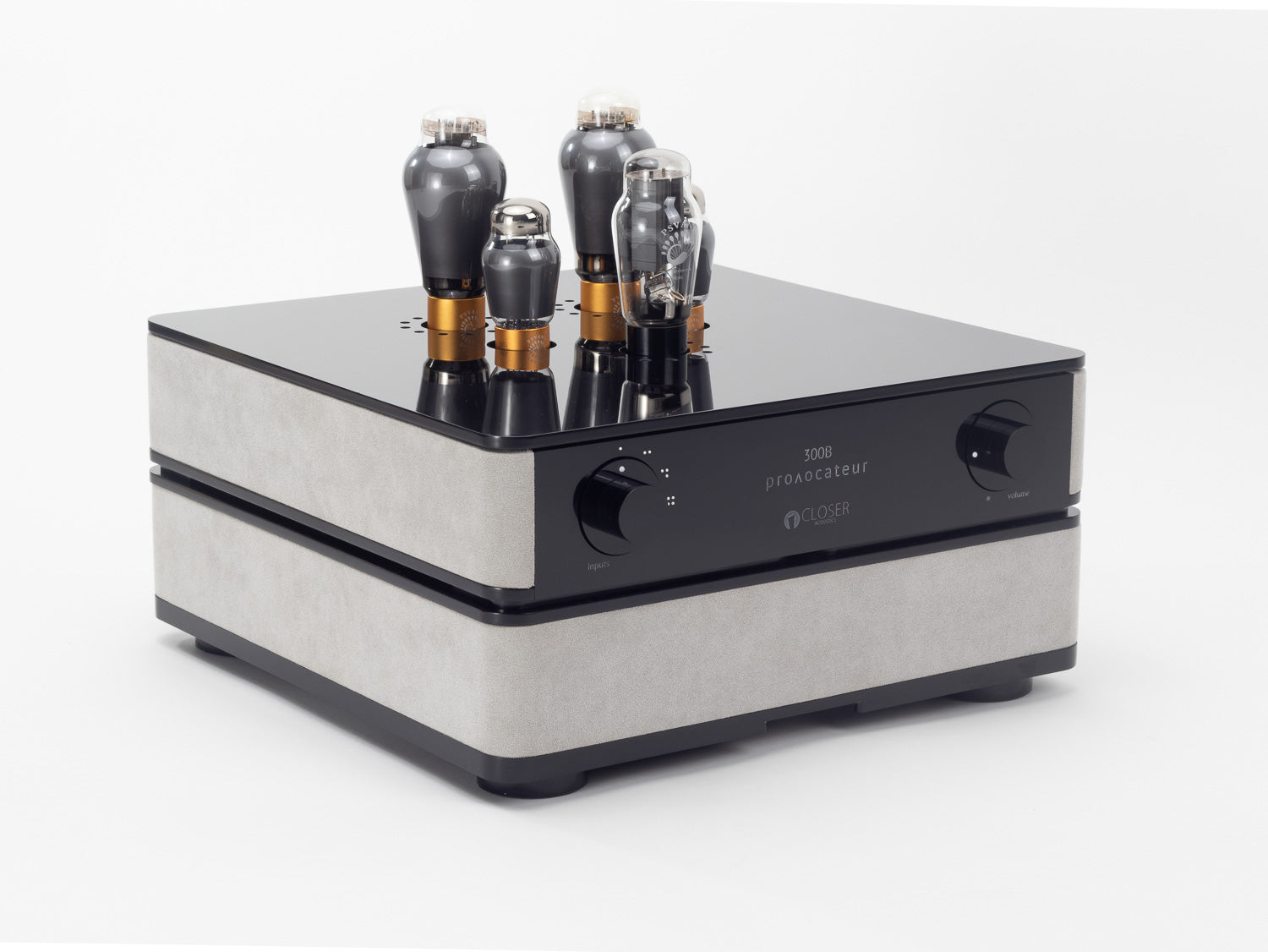 Closer Acoustics 300B amplifier internal components view showing the advanced field coil technology and build quality