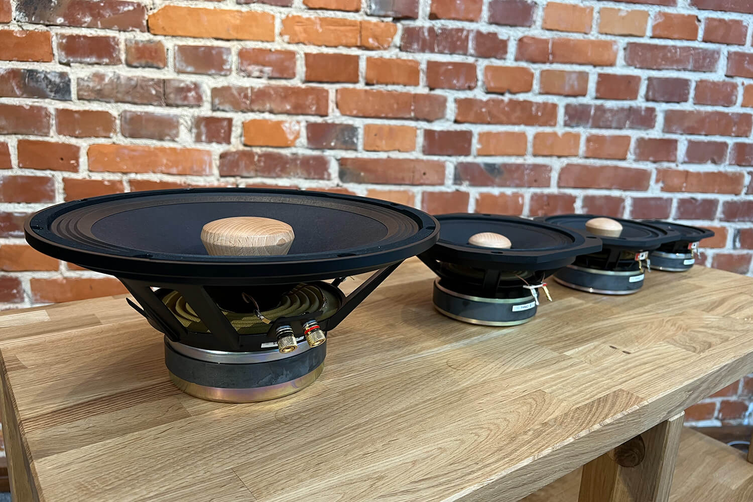 EMS full-range drivers family: EMS LB12, EMS LB8, EMS LB7, EMS LB5, Electro Magnet Speakers.