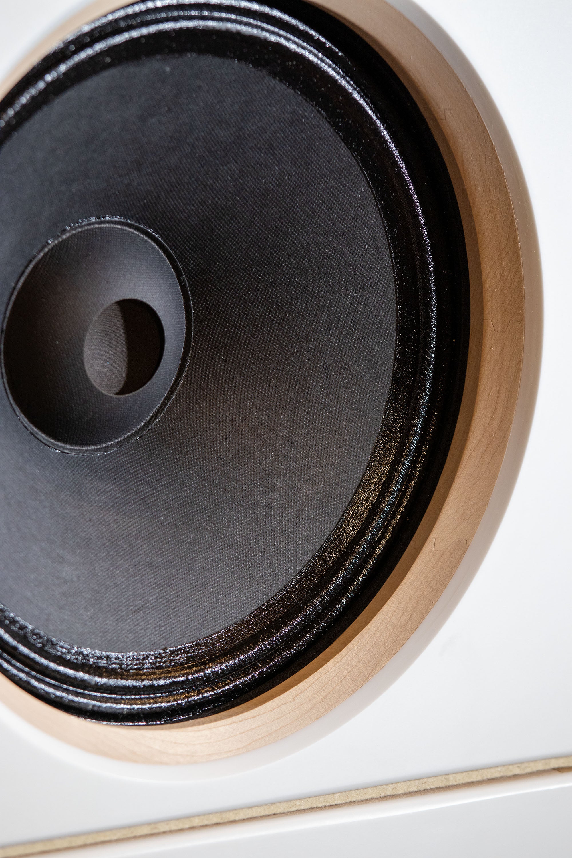 EMS B12 OB (No1214) bass driver 8 Ohm installed in the Ogy Bass speaker, demonstrating the integration of premium bass drivers in a high-performance audio system