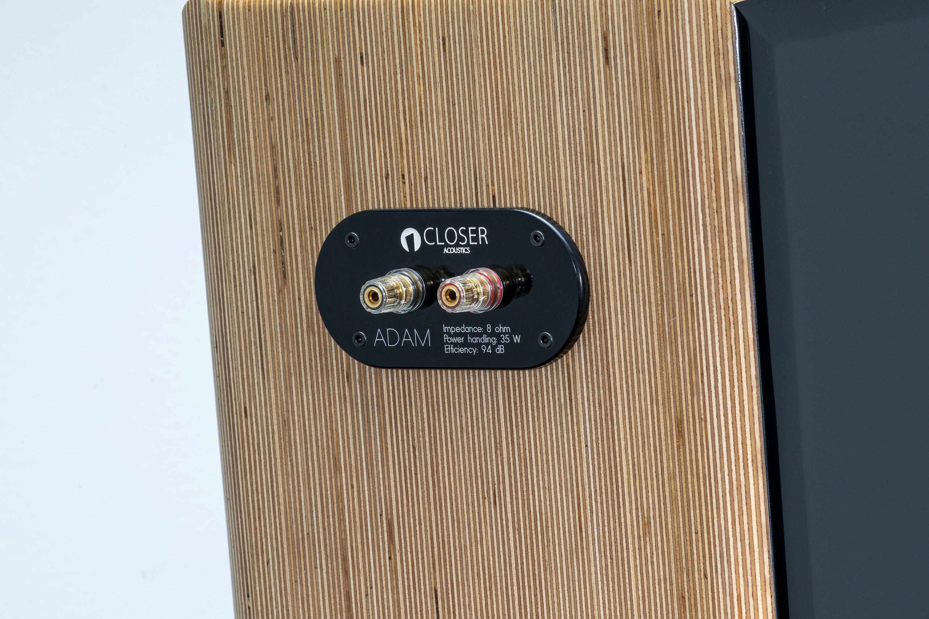 Closer Acoustics Adam loudspeaker rear close-up – focusing on the panel with premium connectors and easy connectivity options for high-quality sound setup