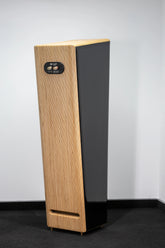 Closer Acoustics Adam floorstanding loudspeaker – full rear view of the speaker, highlighting the clean design and functional panel for easy connectivity