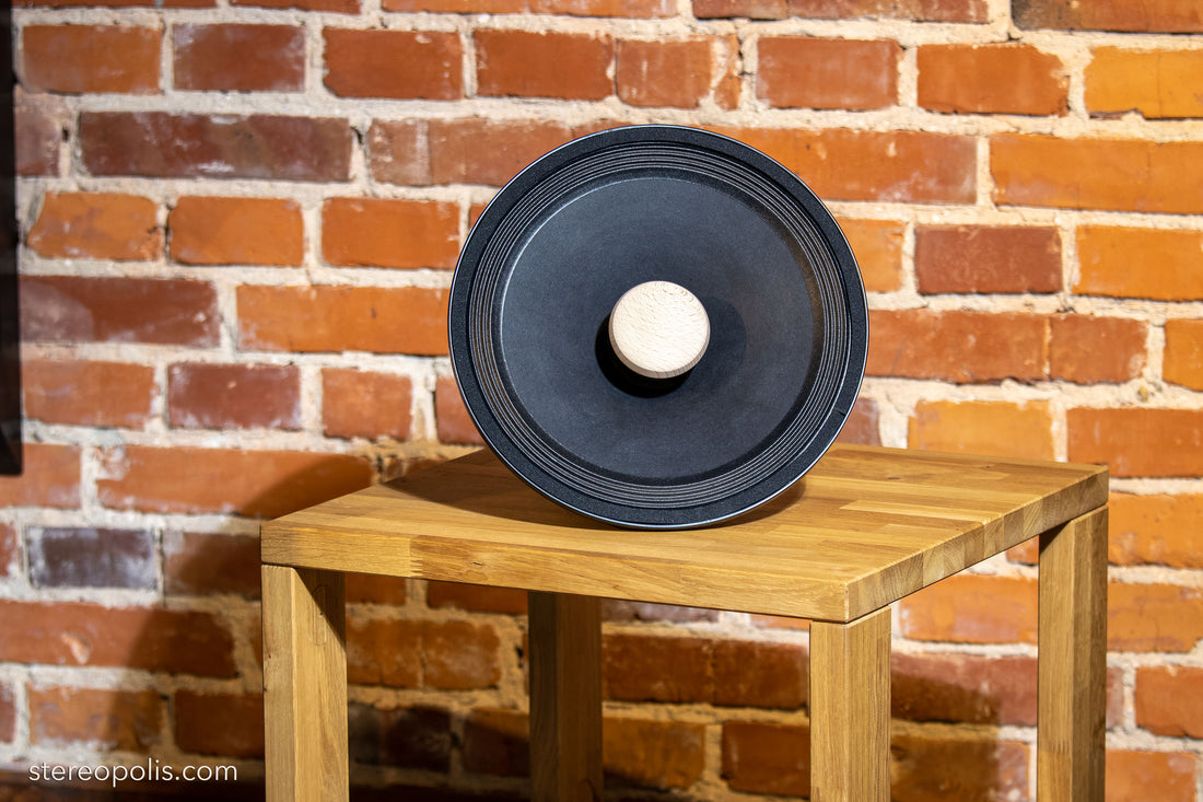 Front view of the EMS LB 12 EX Field Coil loudspeaker, highlighting its elegant design and intricate details for delivering superior sound quality