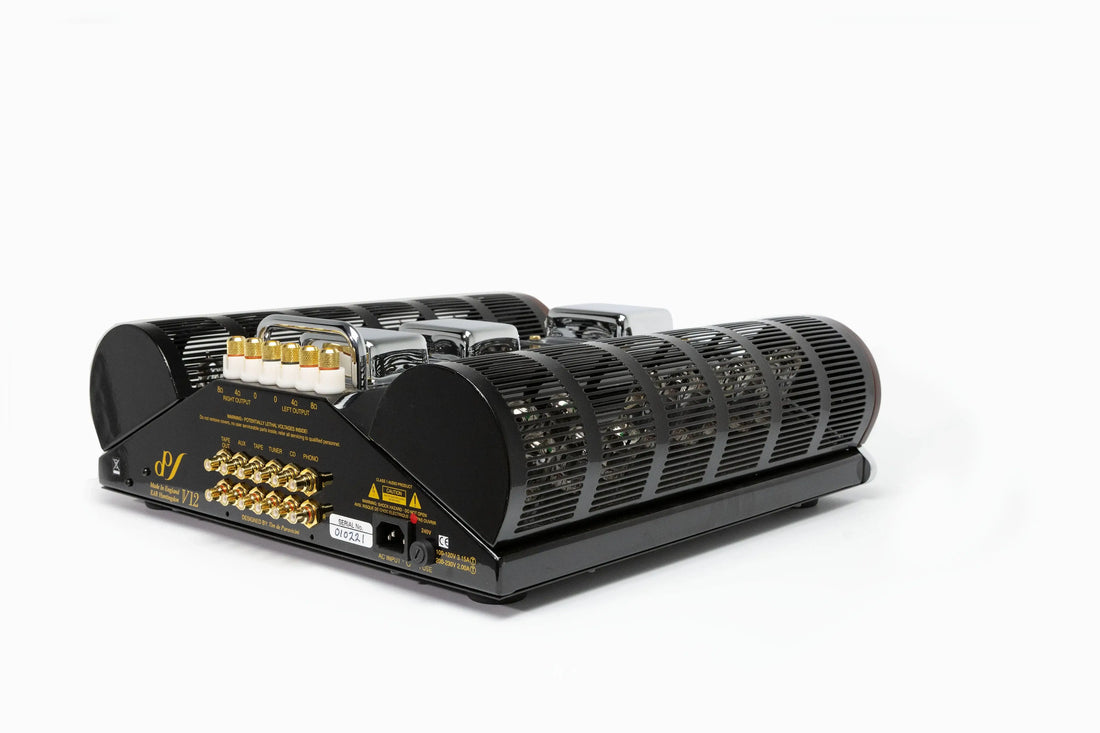 Rear panel of the EAR Yoshino Integrated-amp EAR V12 featuring connections
