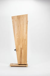 Closer Acoustics Forlane loudspeaker – profile from the opposite side for full visual context