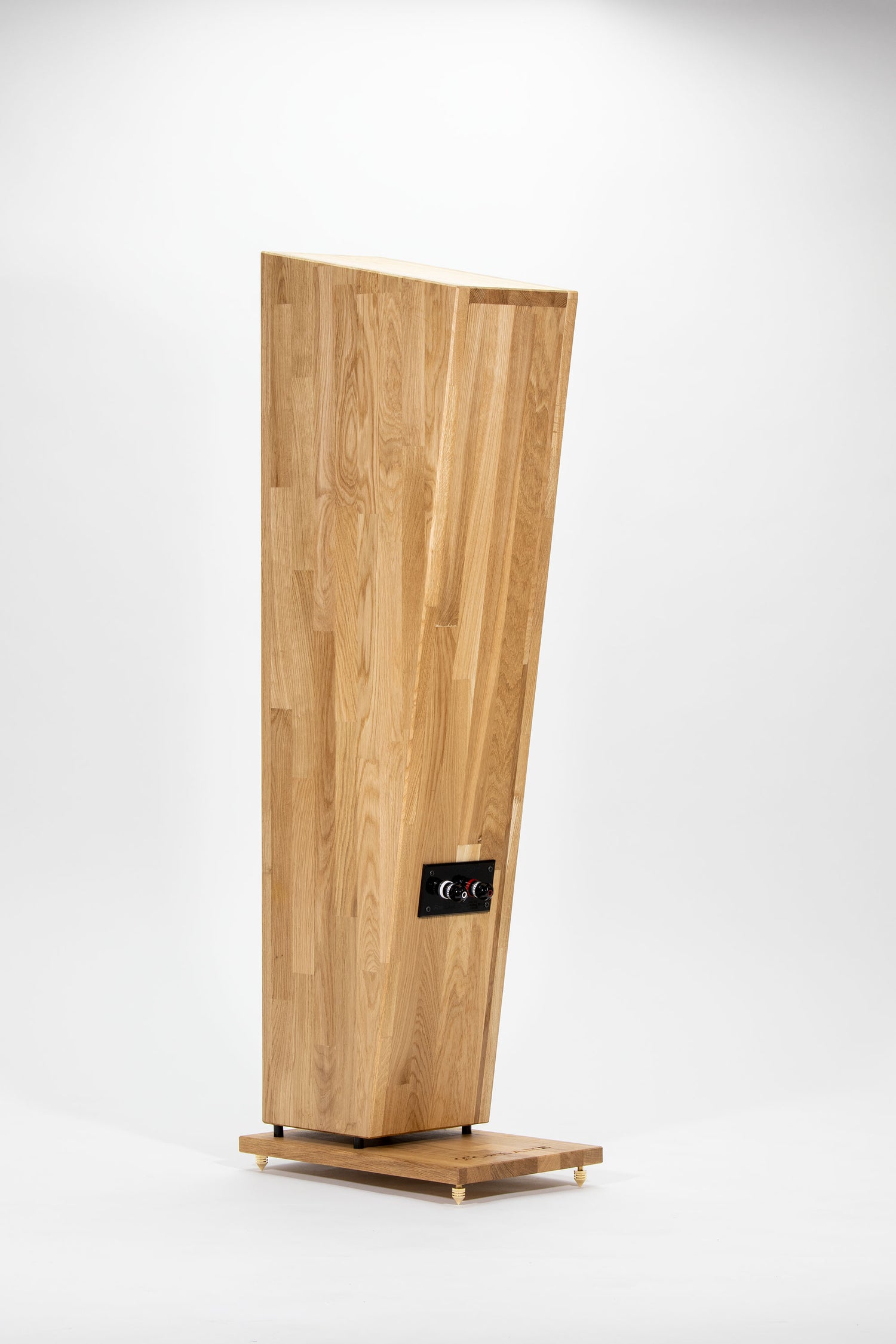 Closer Acoustics Forlane – rear view with visible terminals and cable connectors