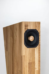 Close-up of Forlane speaker top panel – smooth wood grain and precise craftsmanship