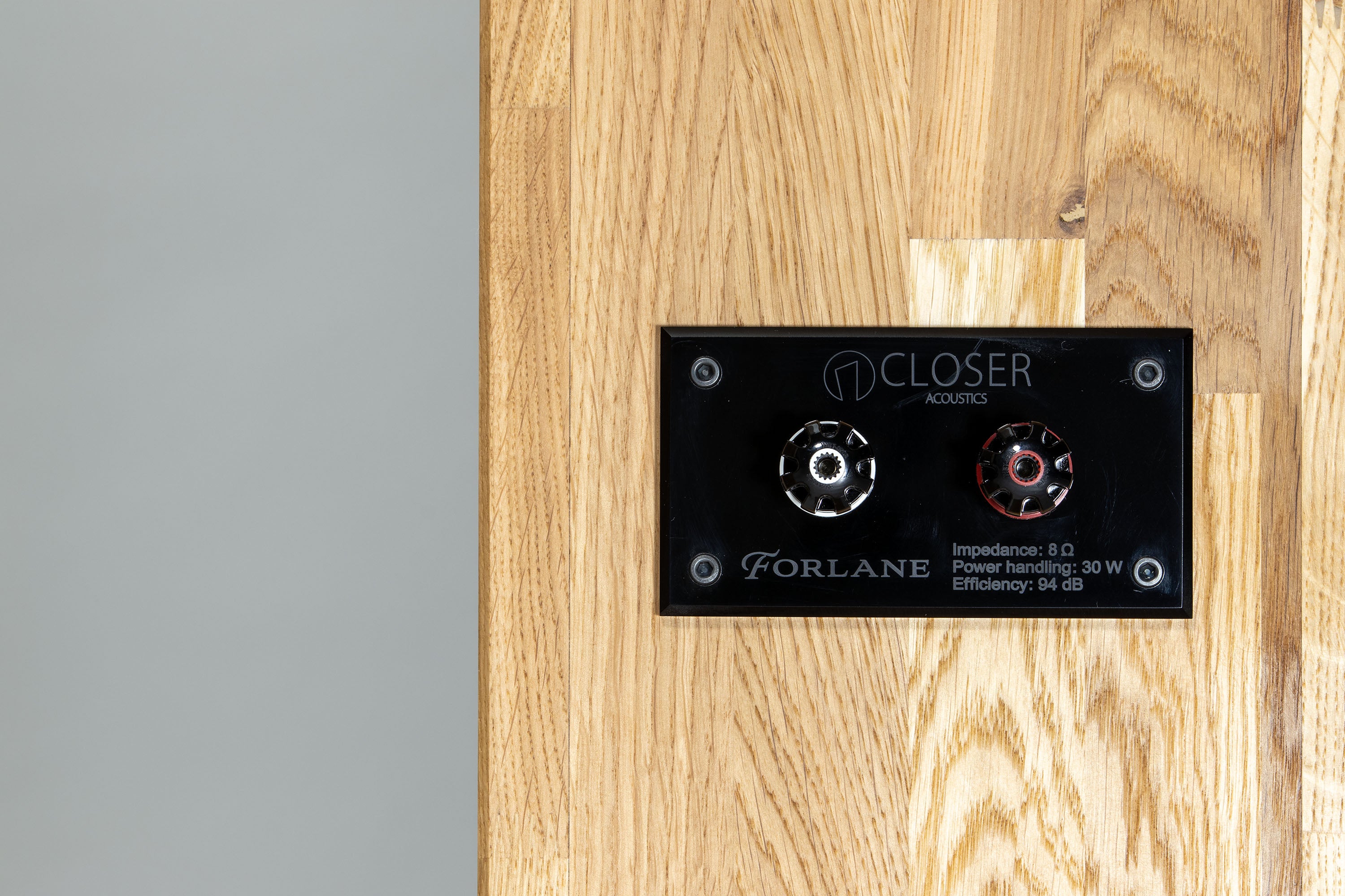 Closer Acoustics Forlane – rear terminal close-up with high-end speaker connectors