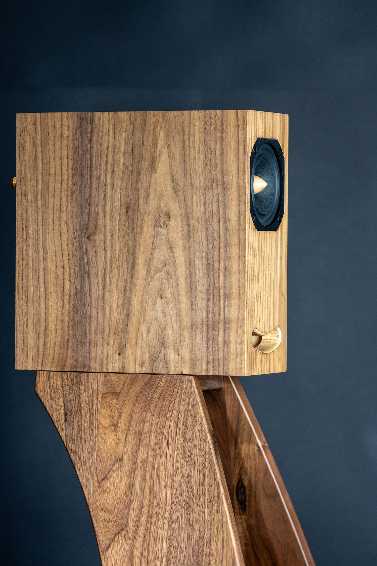 Closer Acoustics OGY Bass – Série Artisan : Noyer américain massif - paire