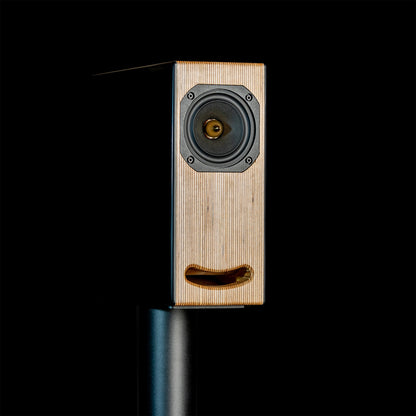 Closer Acoustics OGY &